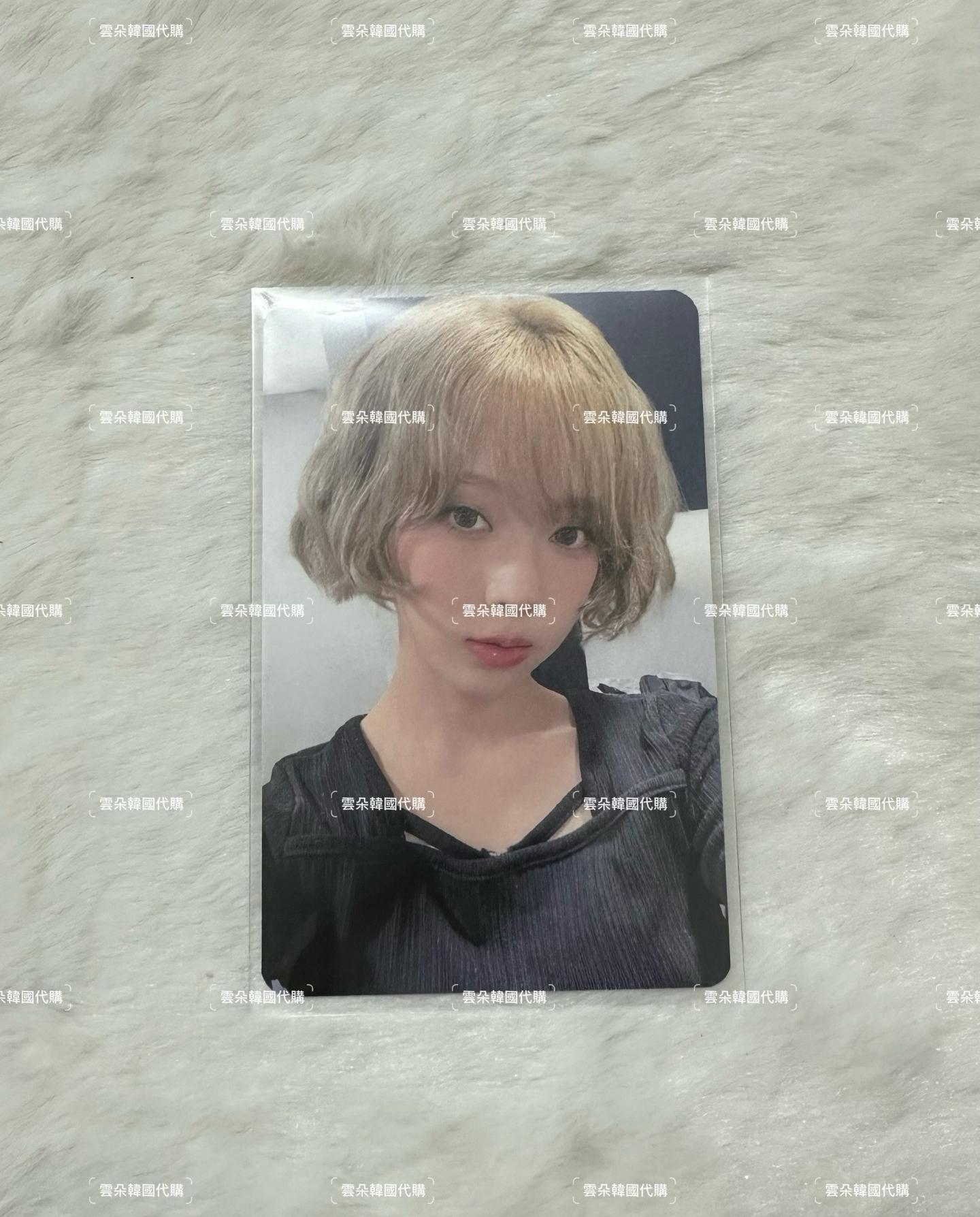 MS簽售冬（綁物）