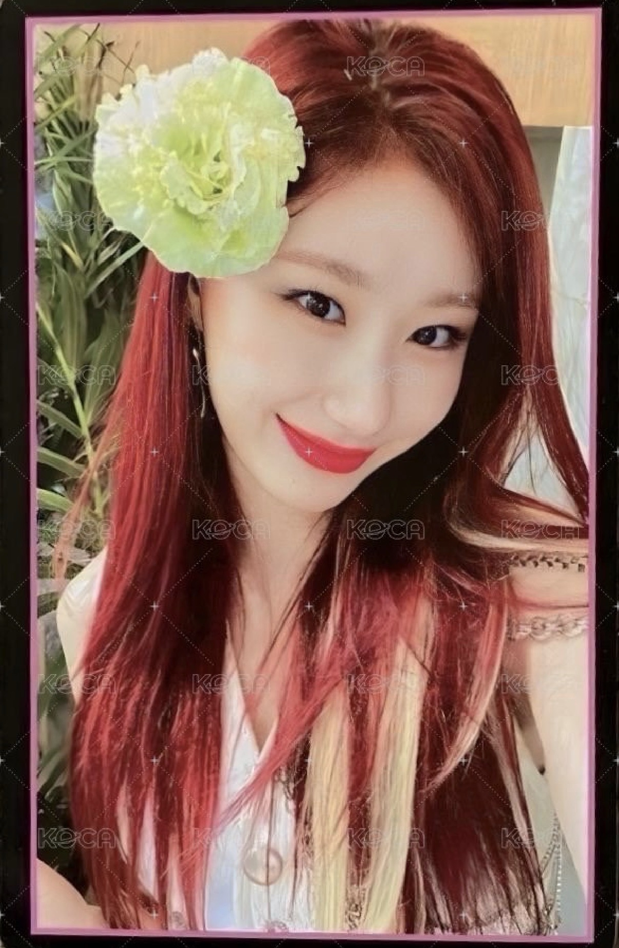 Guess who蝦皮-彩領