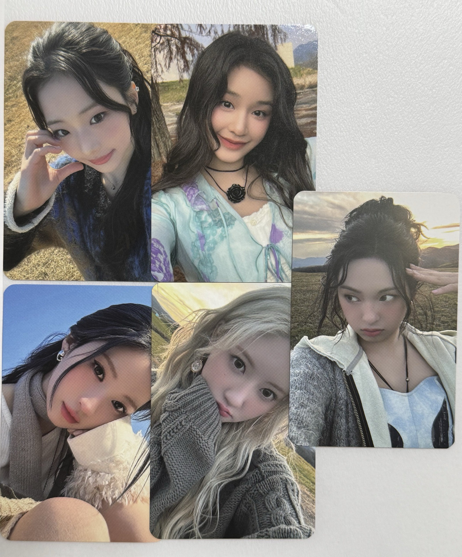 現貨 寶怪 相框卡+拍立得