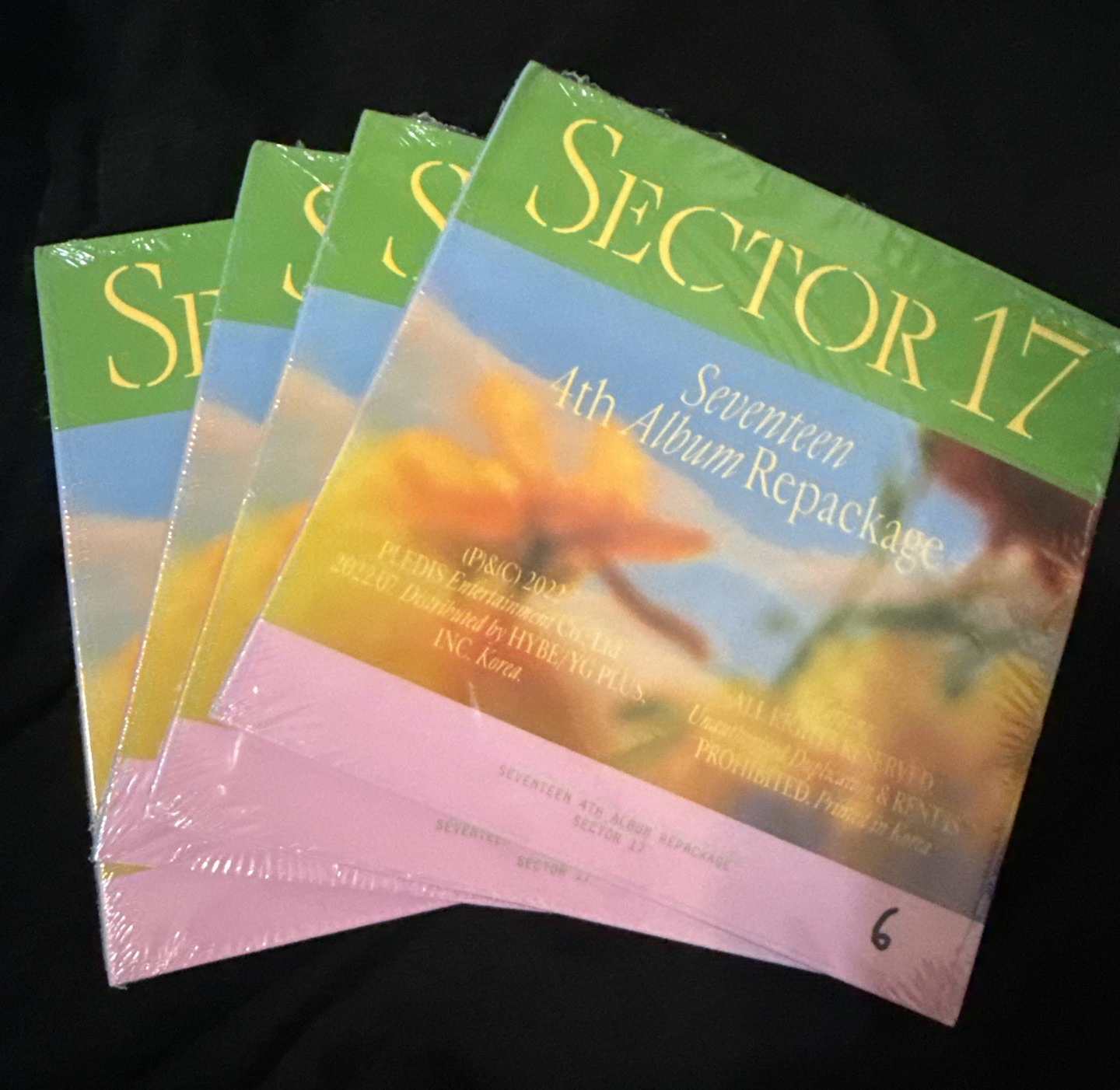 正4後續專 成員寫真空專 圓碩寛率