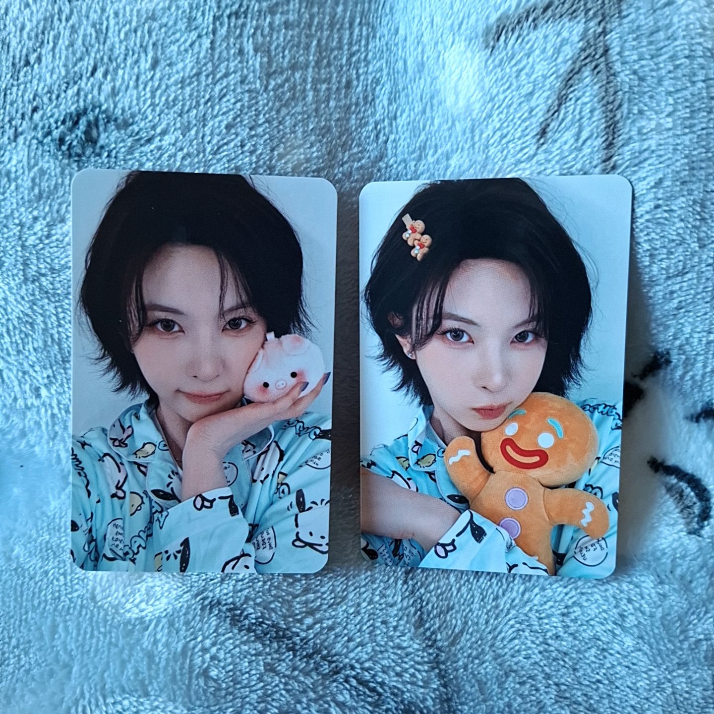 豬豬+薑餅人不拆