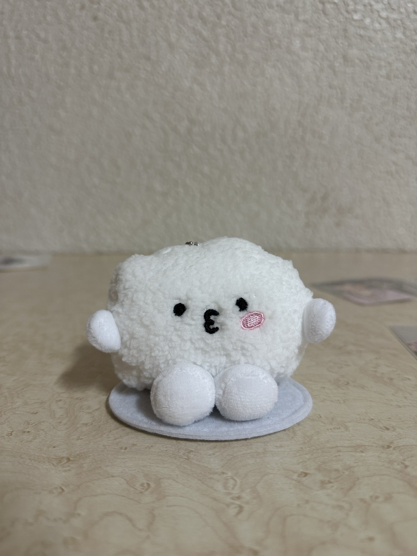 飯粒 綠衣 私服 中背 落花 拍立得盤