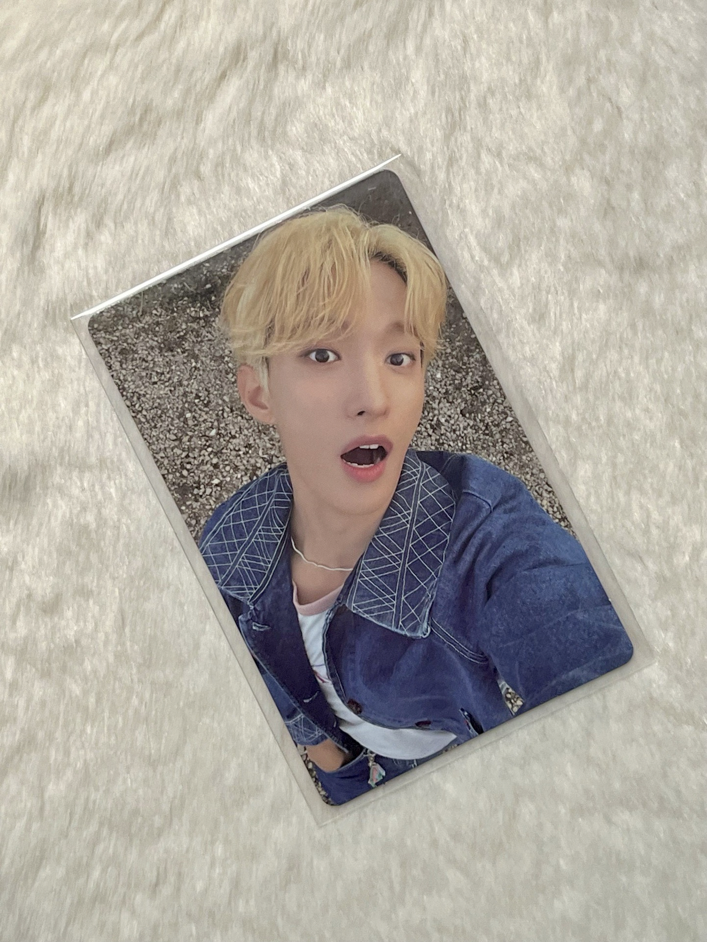 精選專 感謝祭 碩