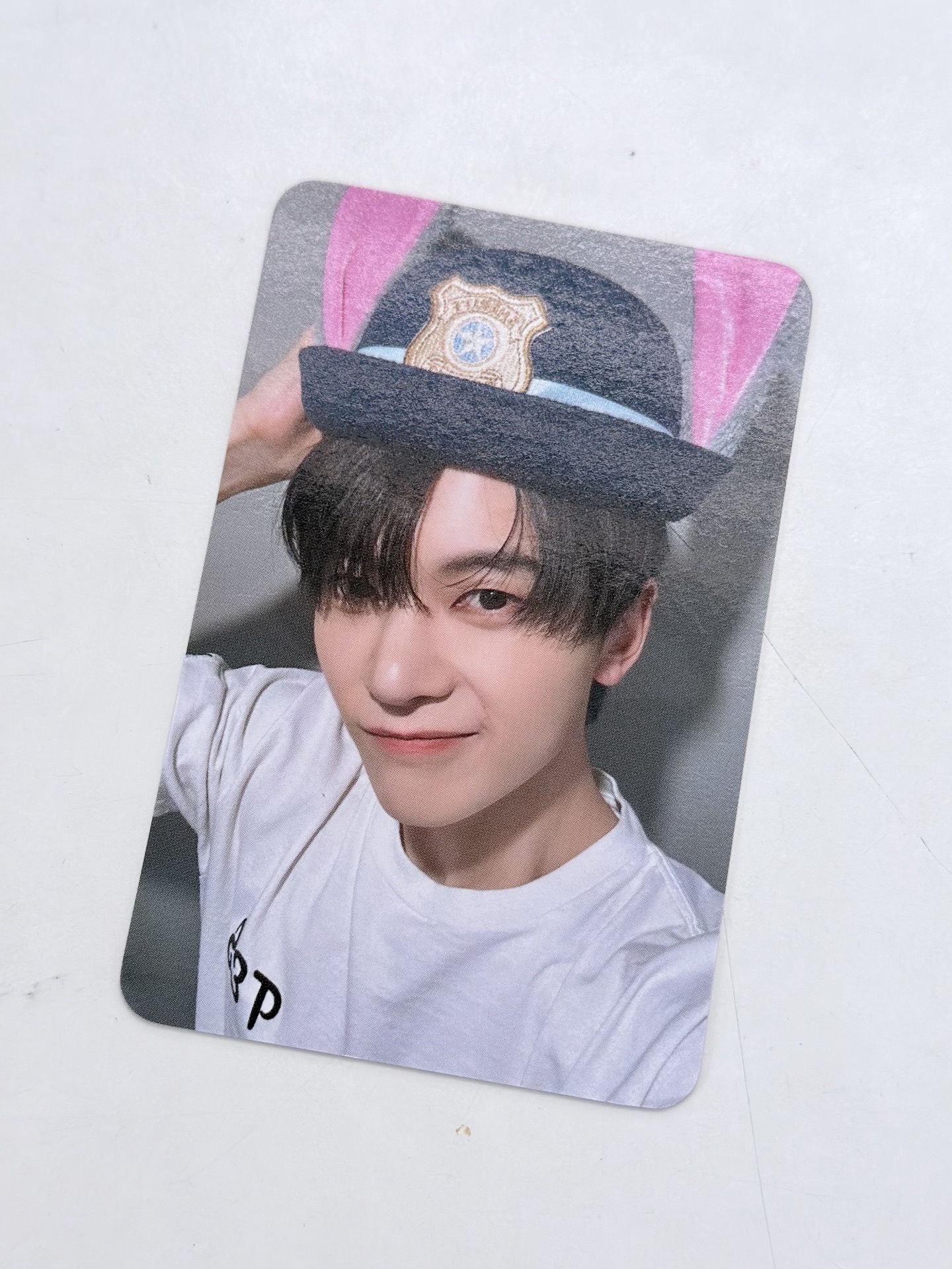 石馬修｜正規一｜wm動物方城市