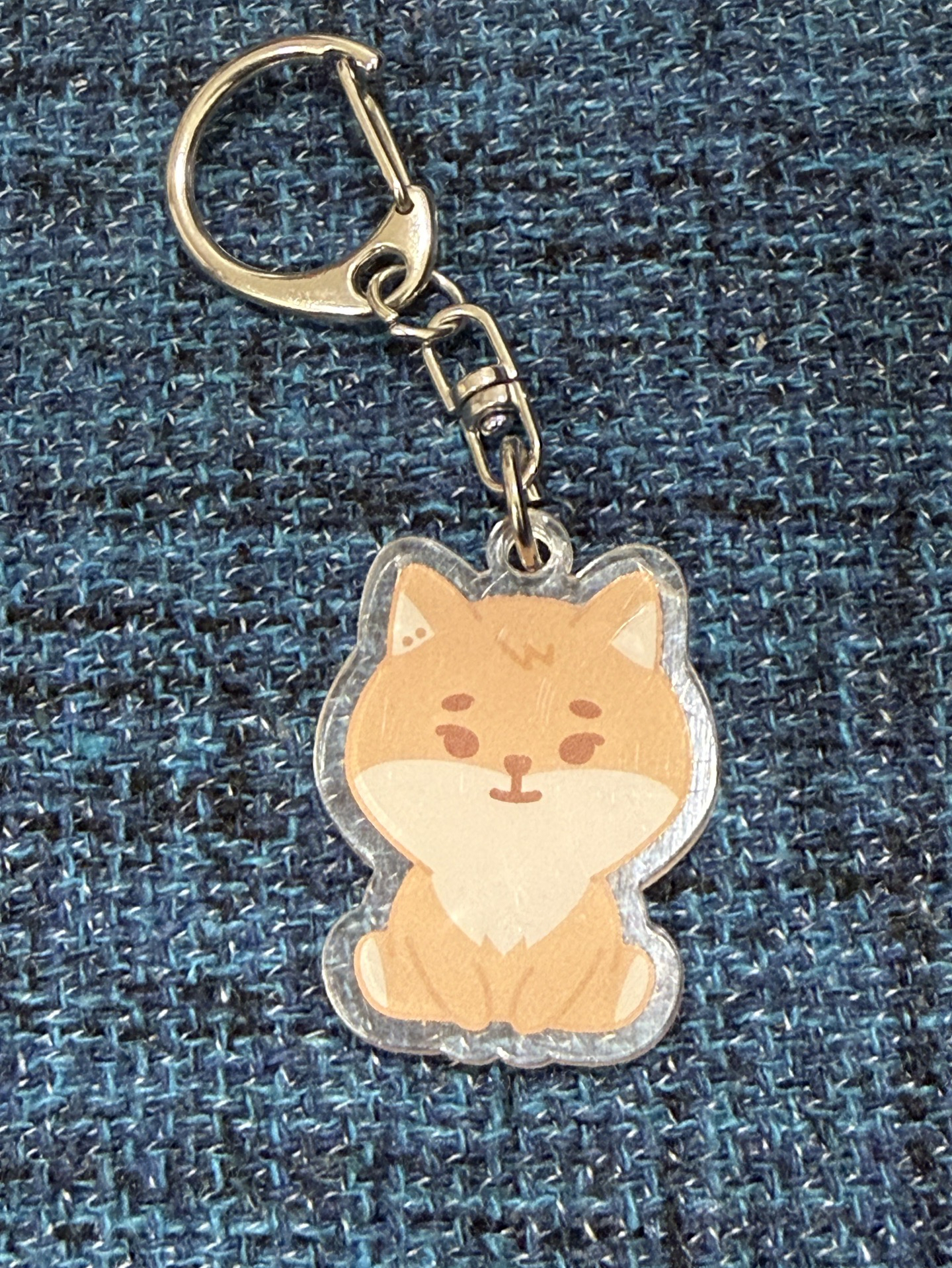 寶寶🦊（已撕膜）