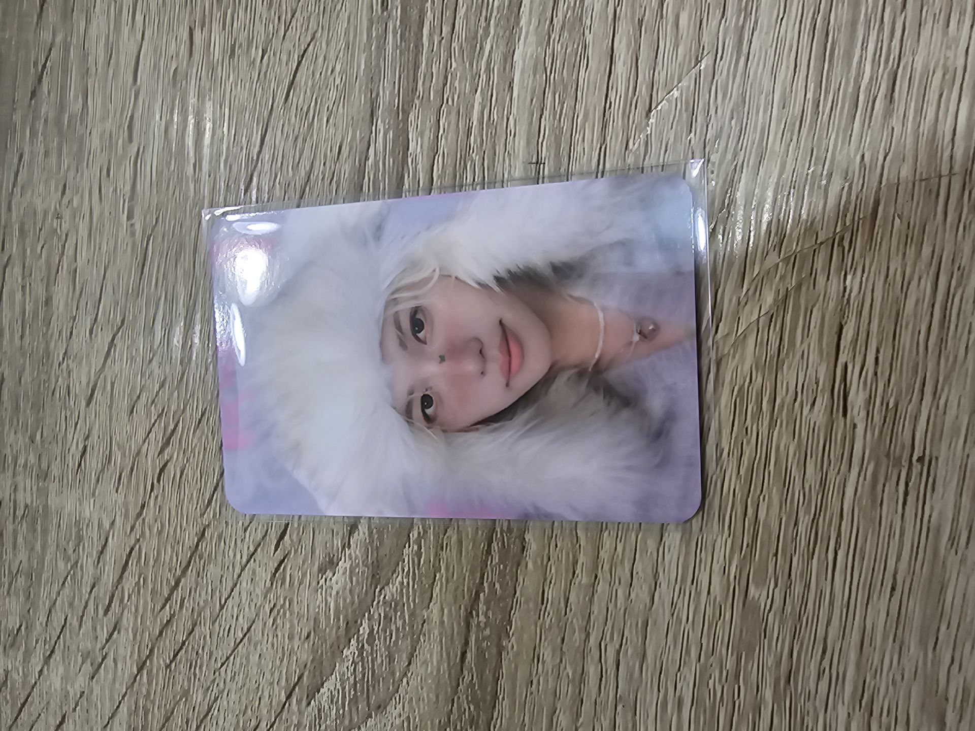 🐣菲 2025飯咪 膠帶卡