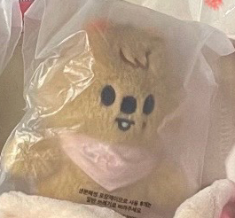 Straykids 5thFM 口水巾娃城（本體350）