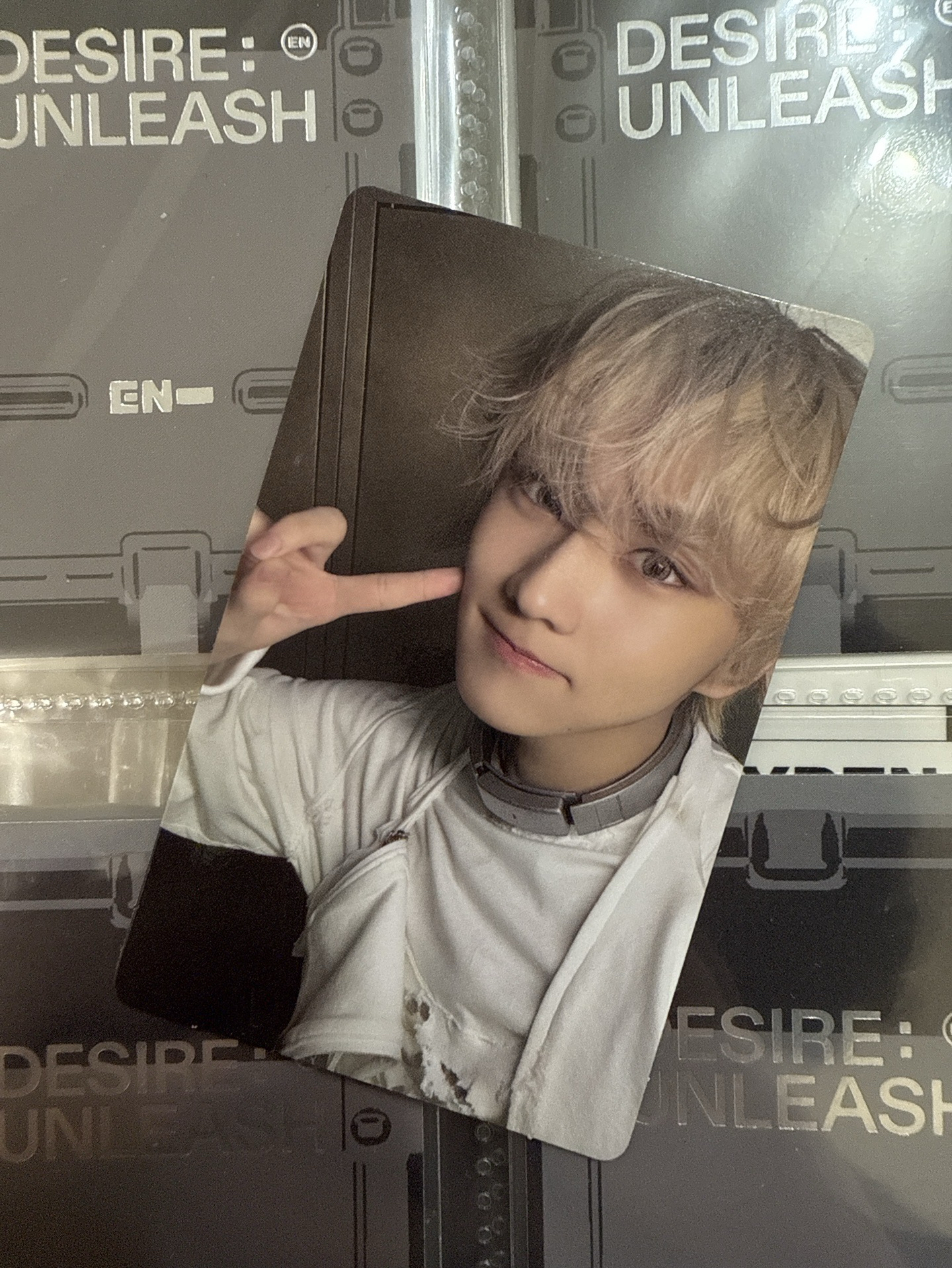 禎元 迷六 ENGENE隨卡A ver. 專輯卡 