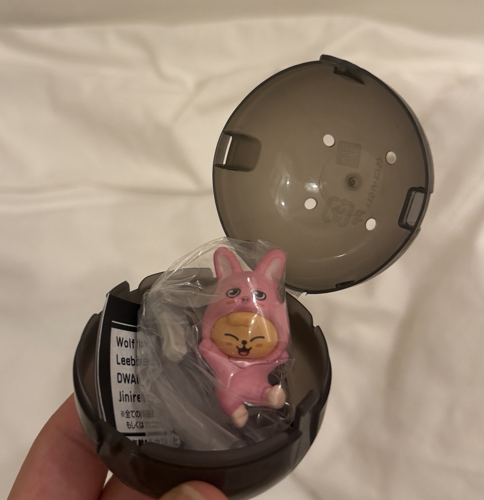 SKZOO 扭蛋 玟 PUPPYM