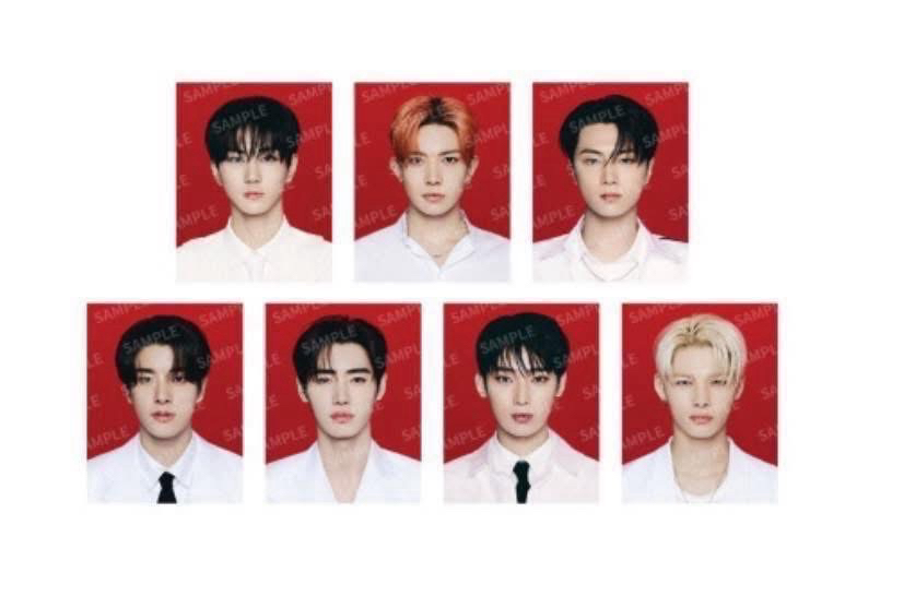 ENHYPEN 韓安周邊 證件照