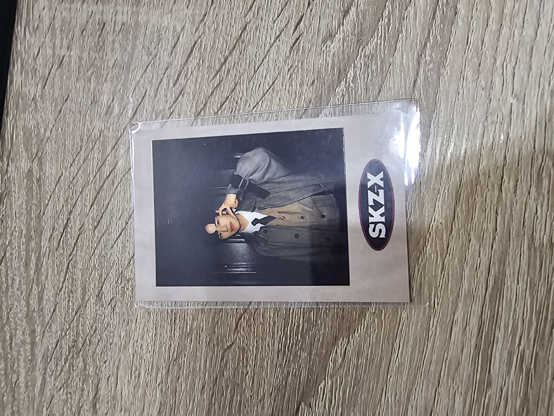 🐶玟 偵探飯咪 拍立得