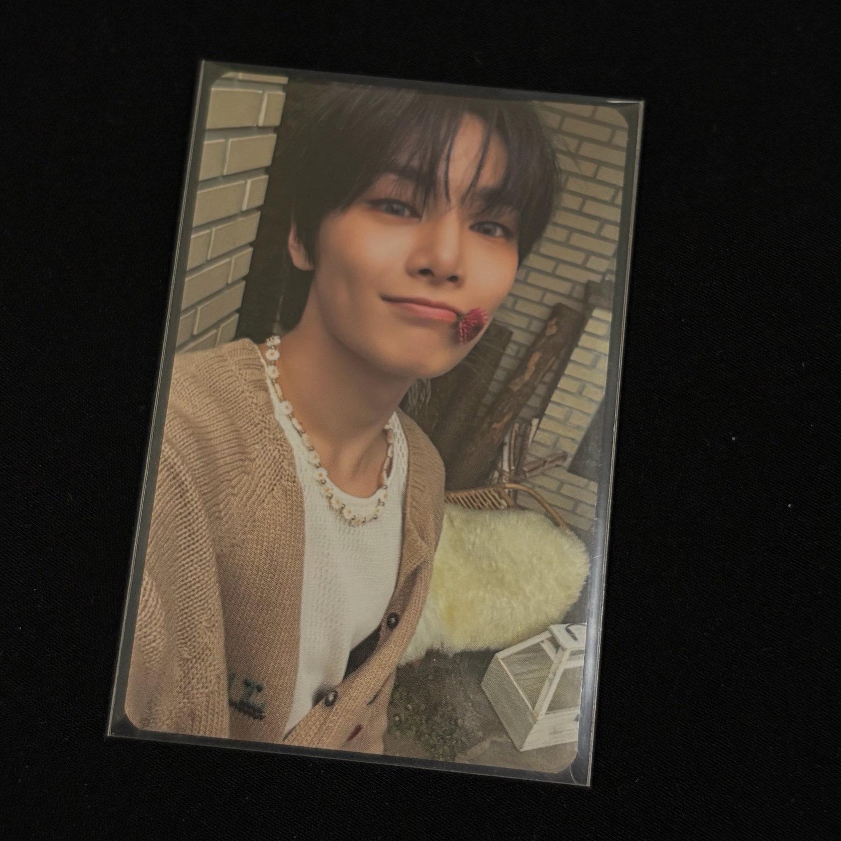 精寅4期5期會員禮