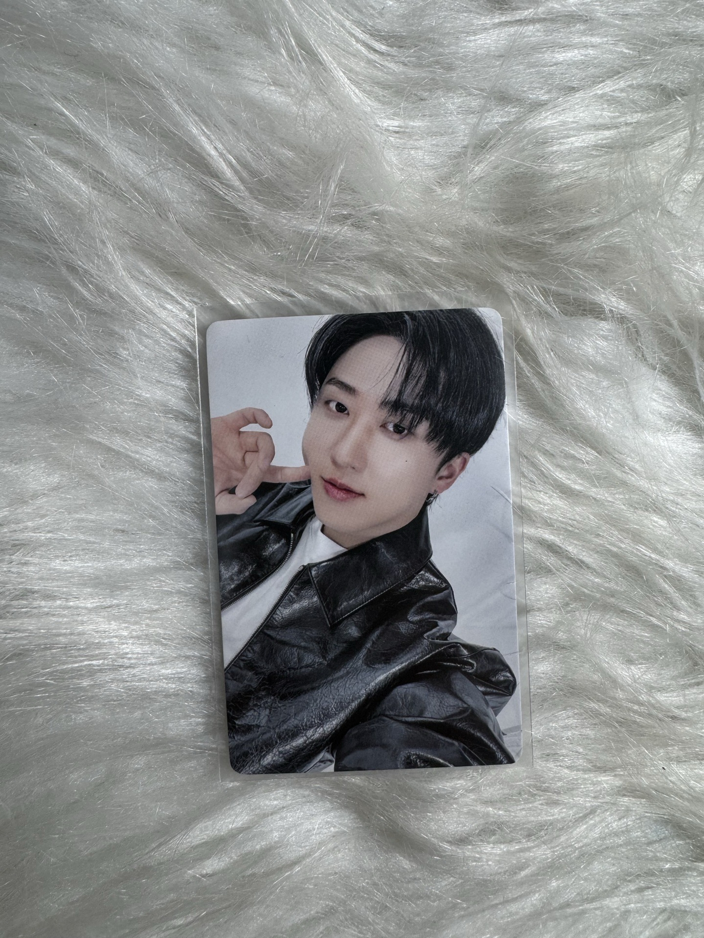 彰彬 一直娛 特典