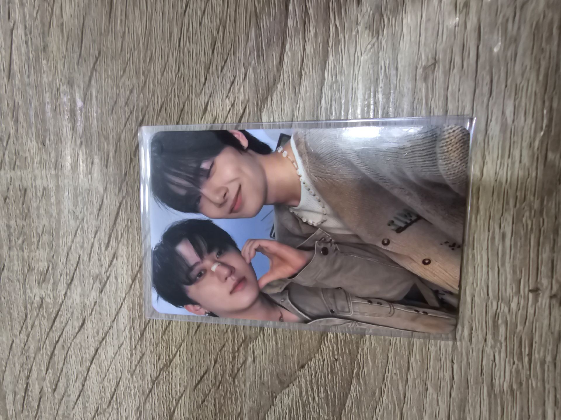 🐖🐇🦊彬寅 四期會員禮 小卡