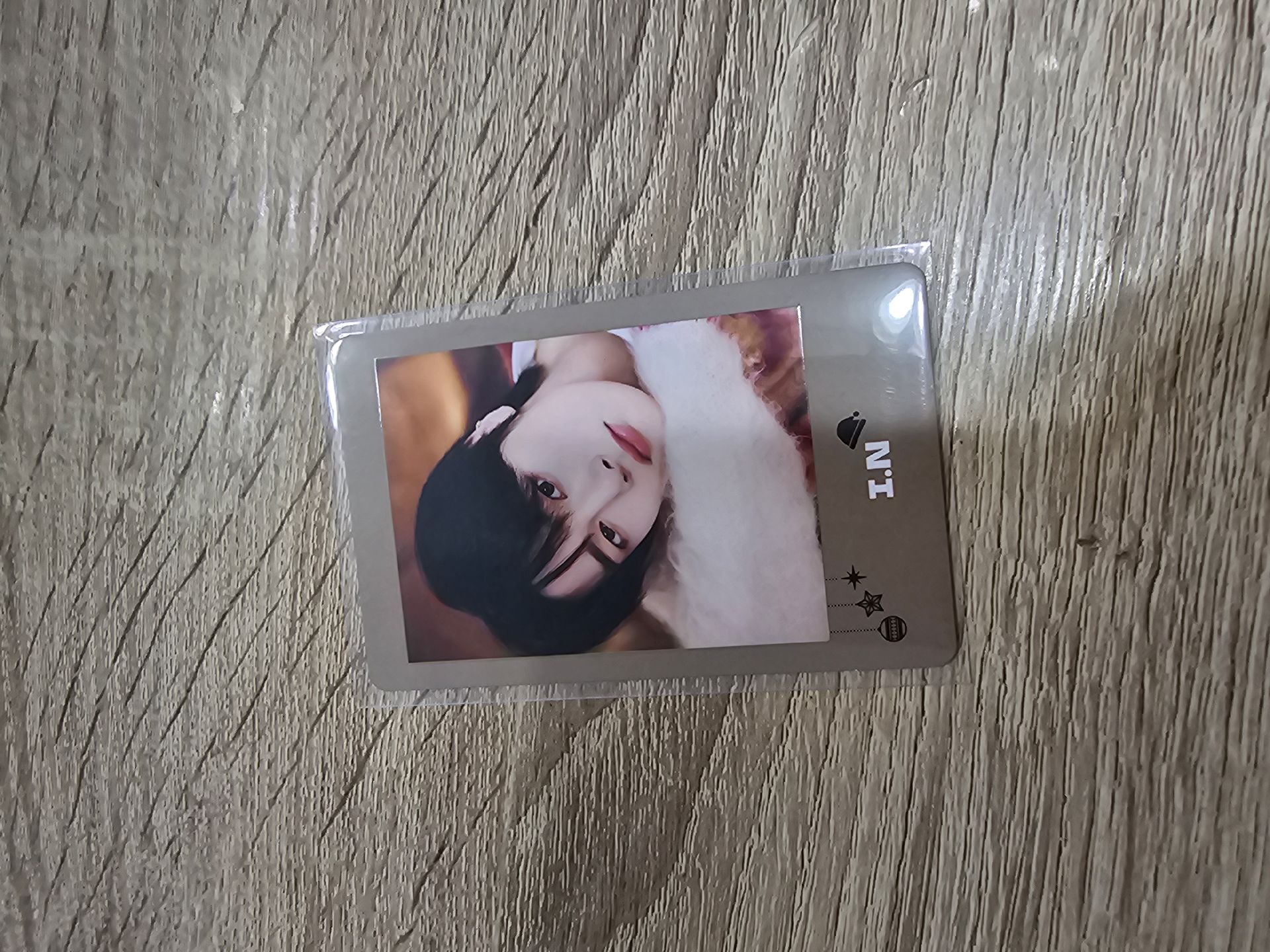 🦊寅 2023 澀谷聖誕快閃店 小卡