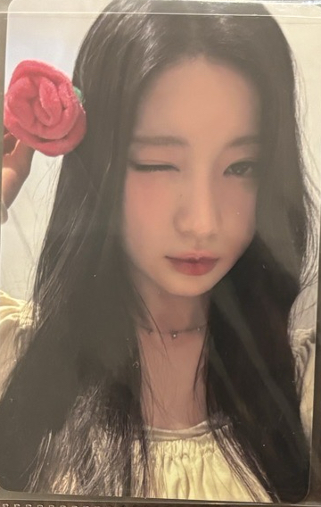 ASA 拿花 玫瑰日