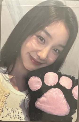 貓爪 玫瑰日 PHARITA