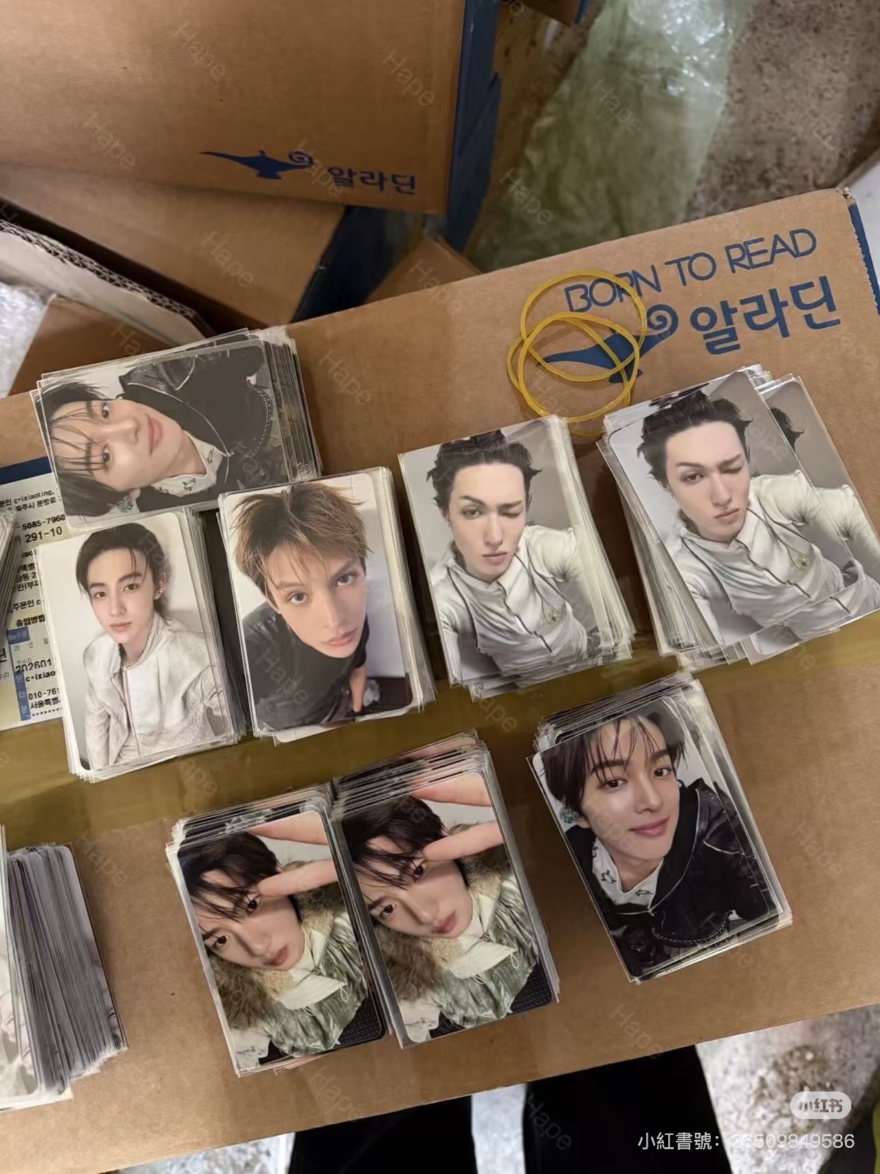 Cortis｜MA 年末特典｜趙雨凡 馬丁 金主訓 嚴成玹 安乾鎬