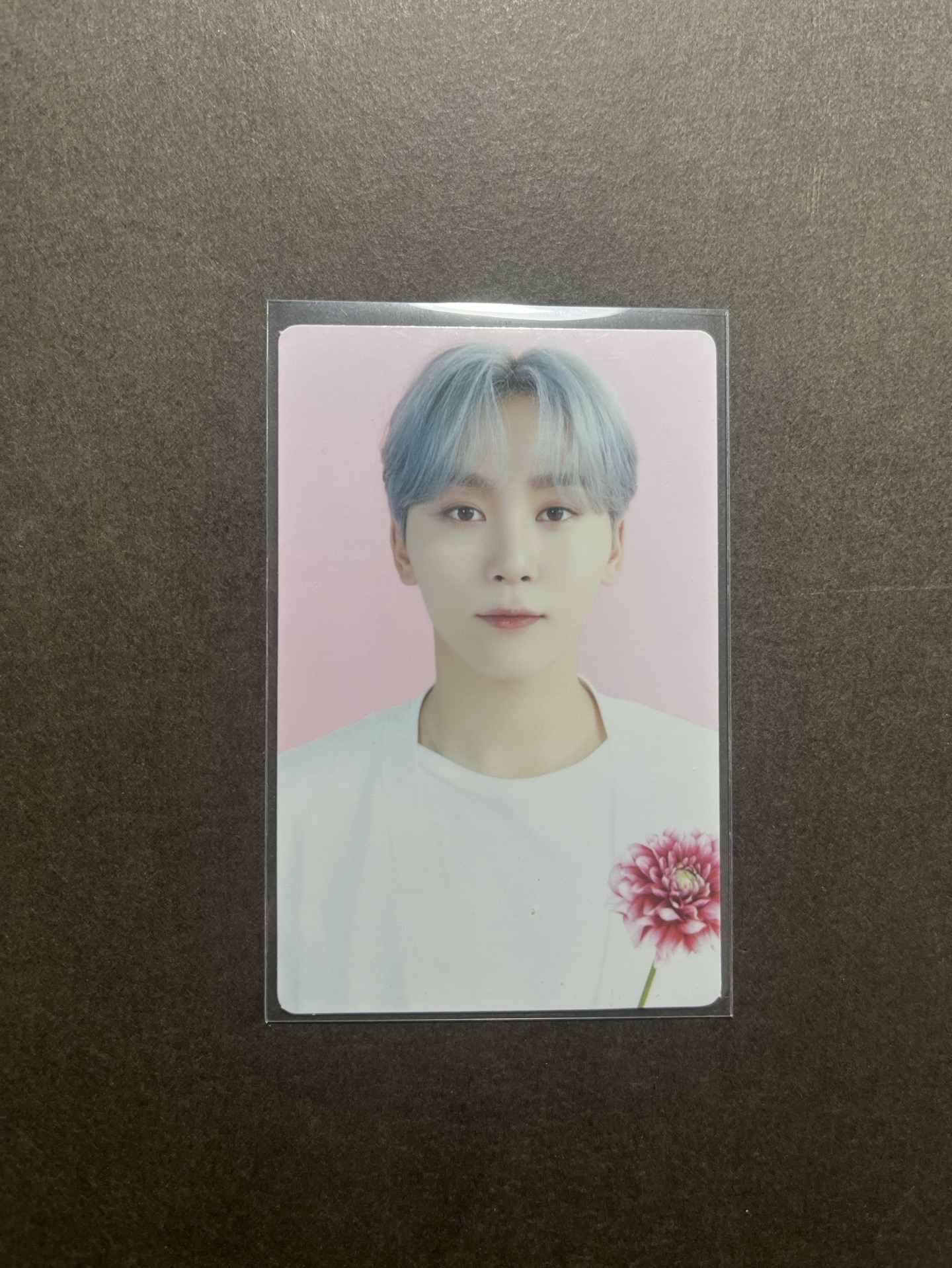 23’Cafe in Seoul 隨機卡（寛）