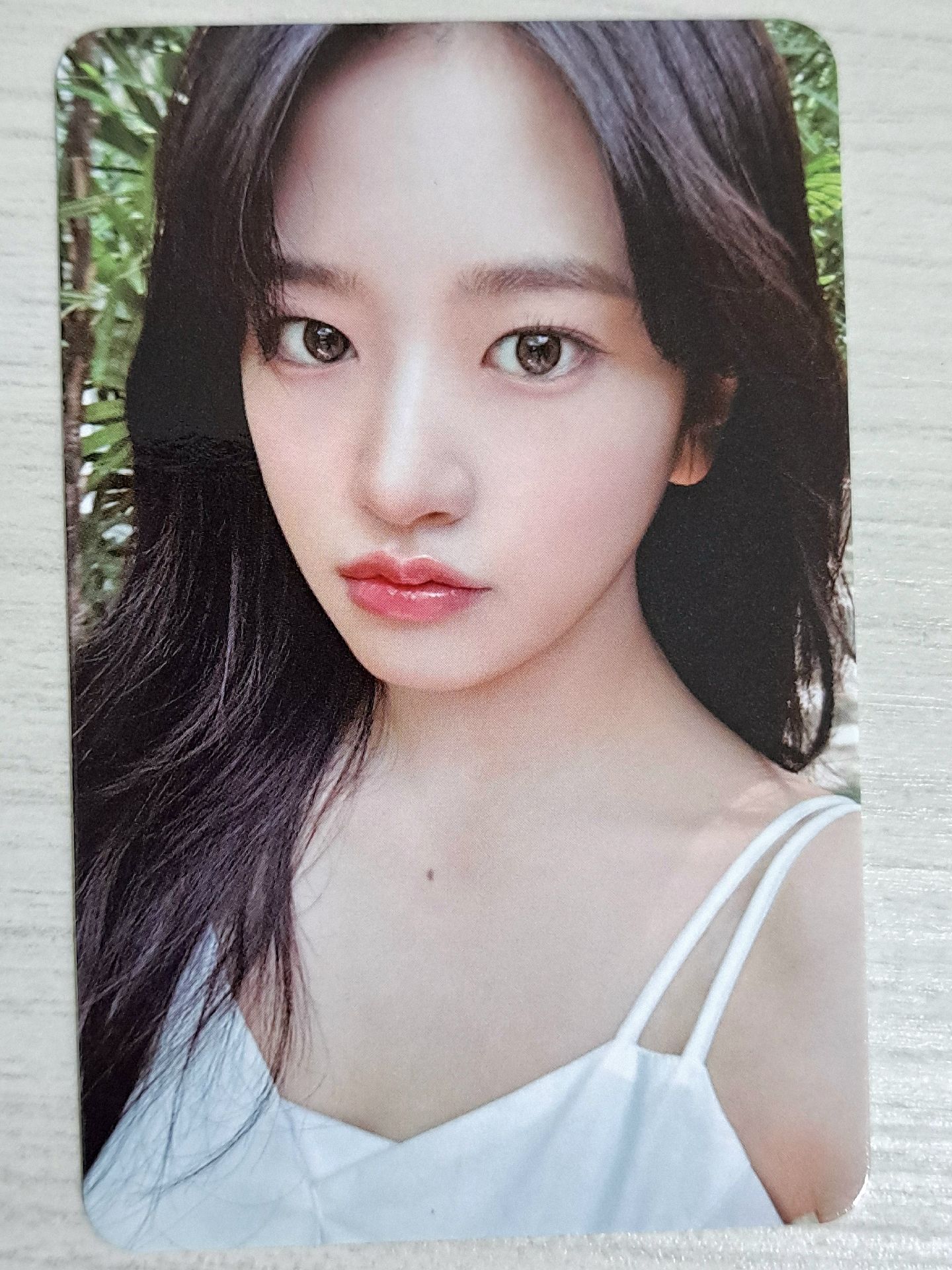 夏日寫真 周邊卡 固配卡 安