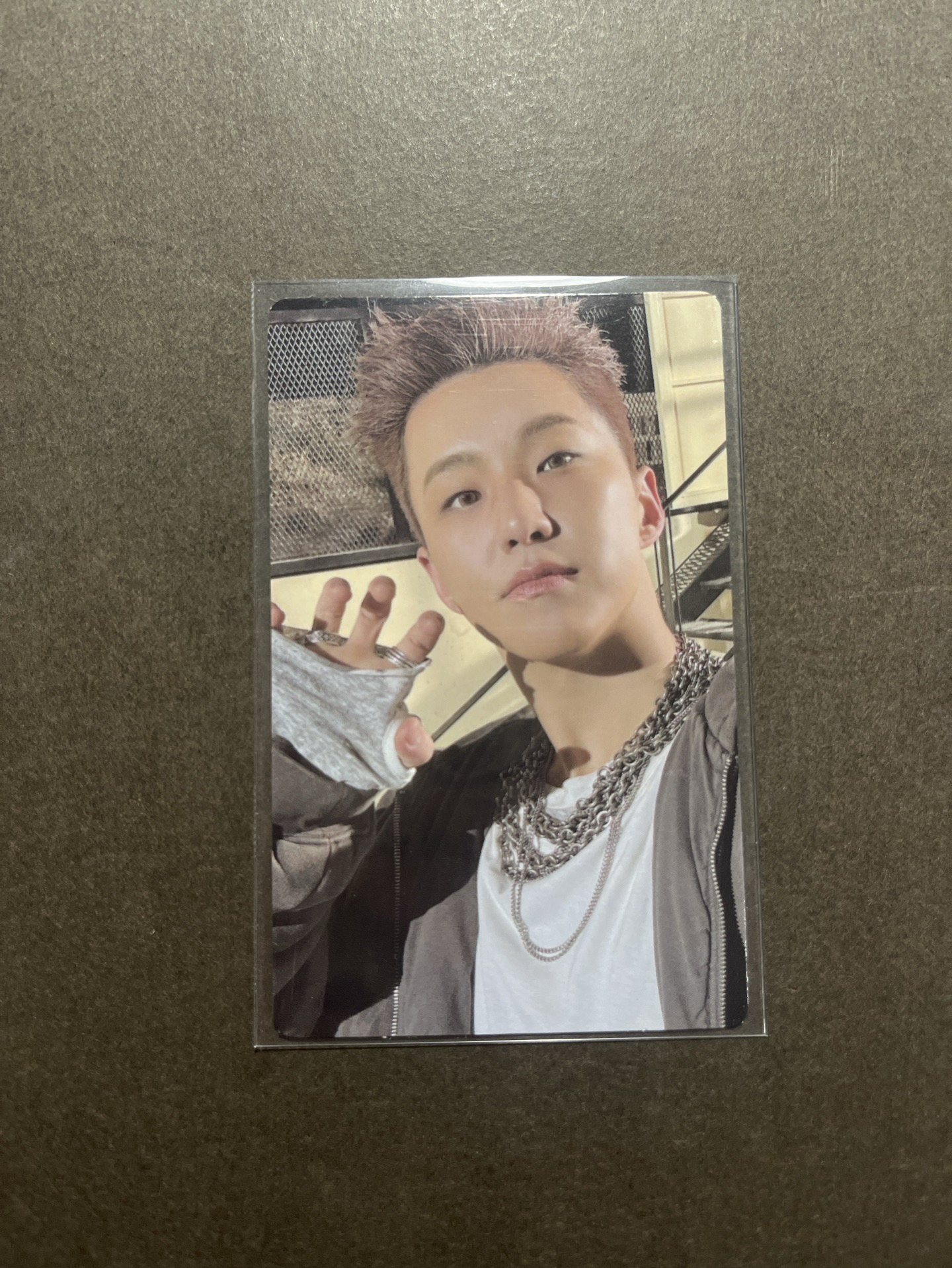 正規五 wvs特典卡（榮）