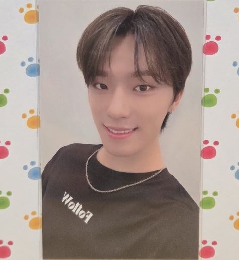 MINI11 環球 感謝祭1.0 特典卡 