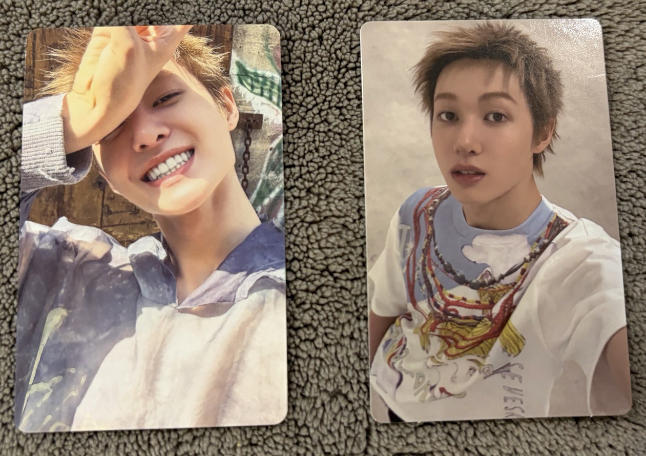 wvs幸運馬+日咖馬（現貨）