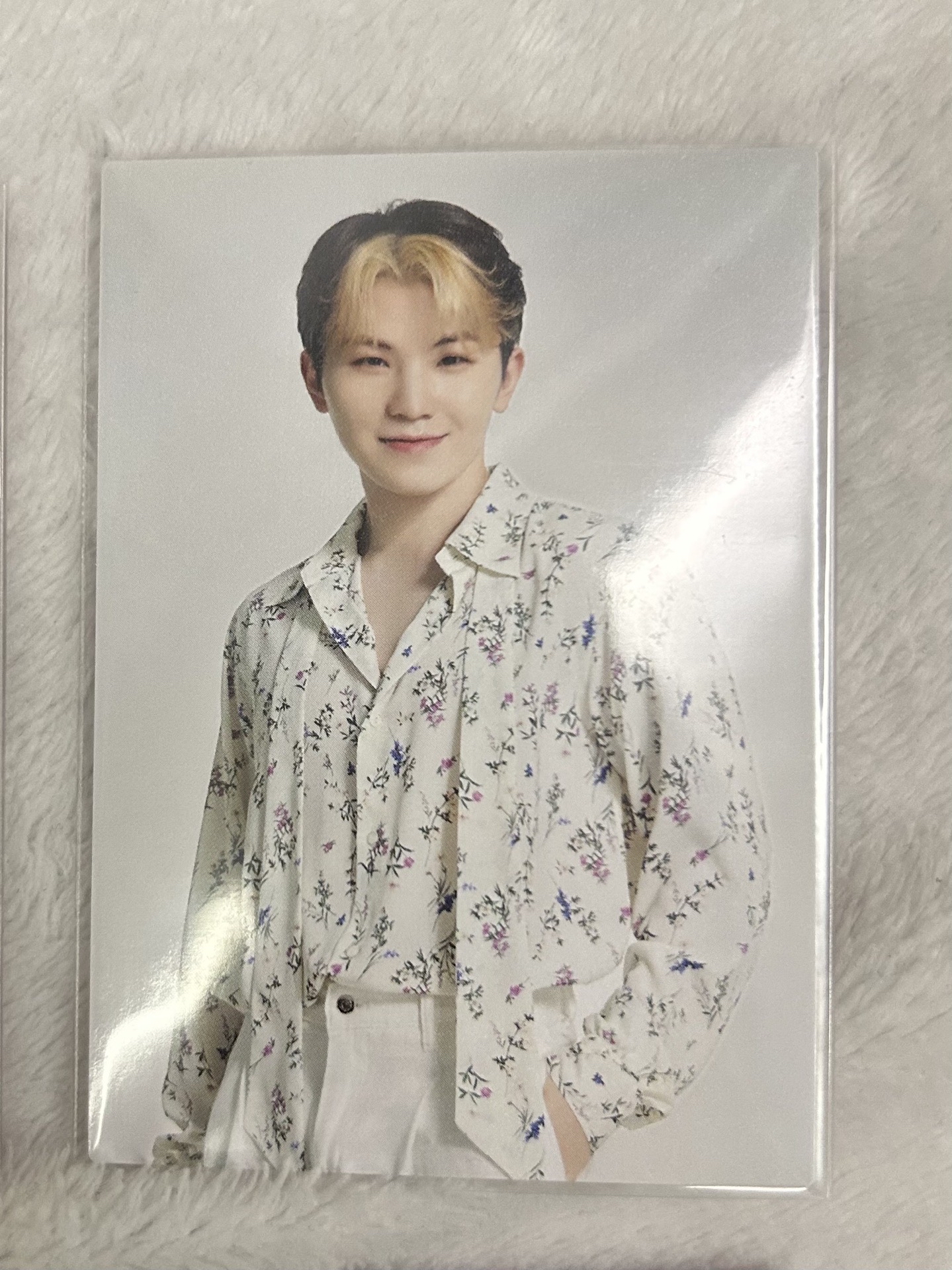 SEVENTEEN 知勳 日卡 日本隨機卡