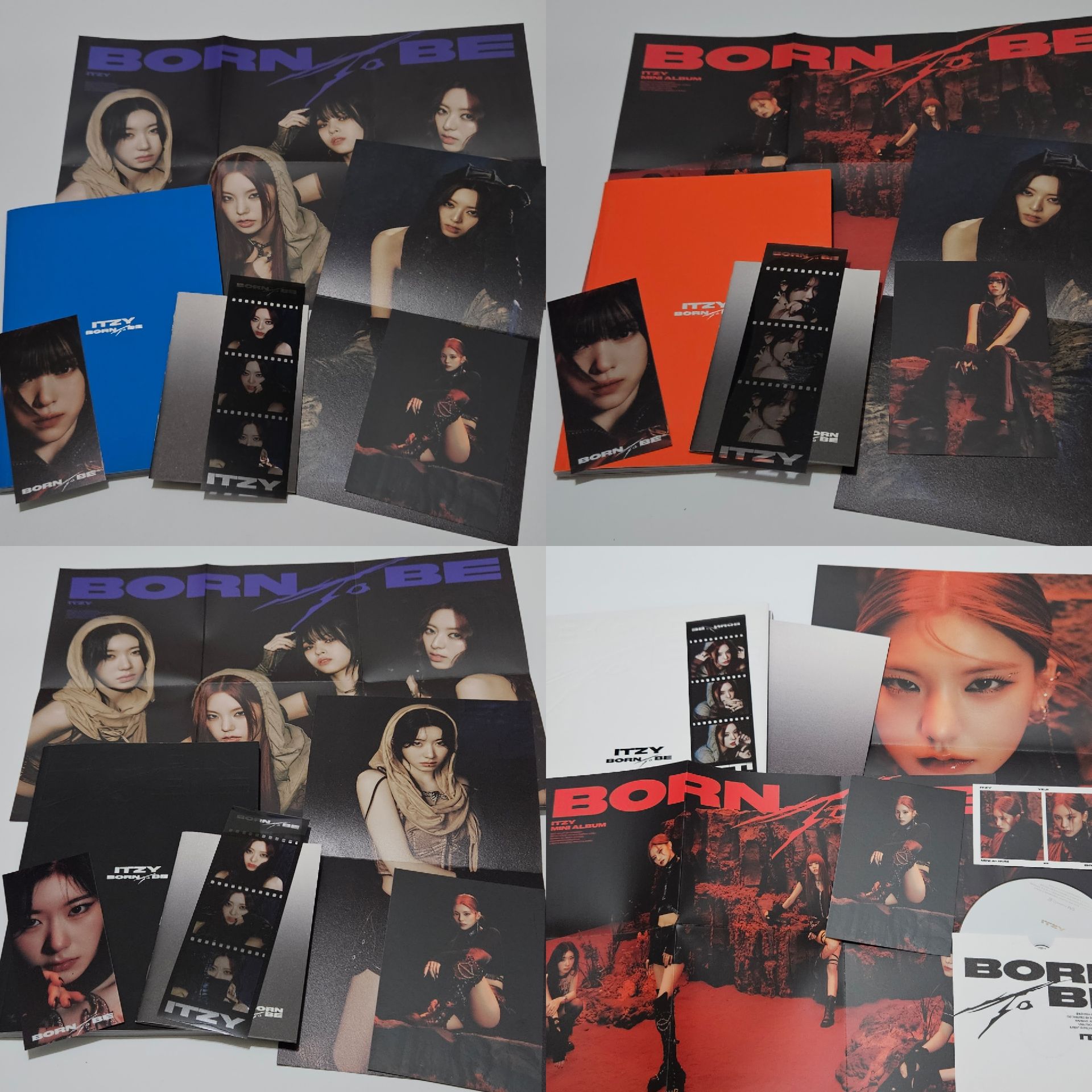 🎀⁴ BORN TO BE 一套四本 