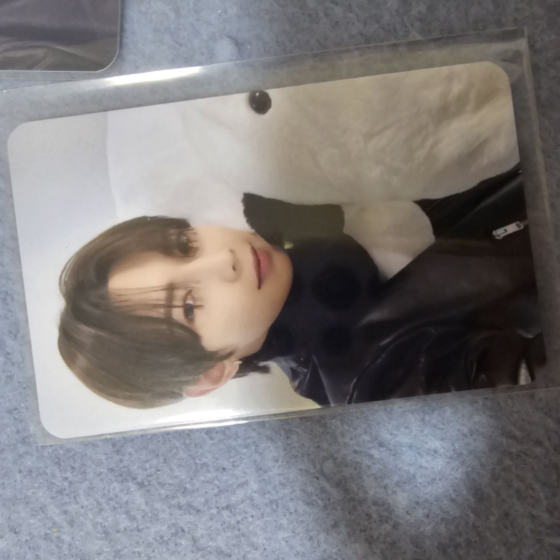 抱什麼生物我也不知道