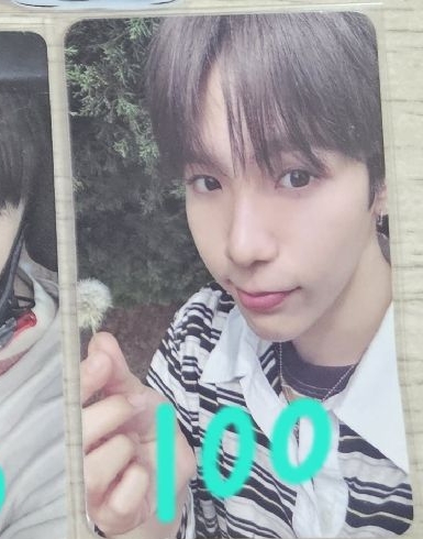 將太郎 蒲公英小卡