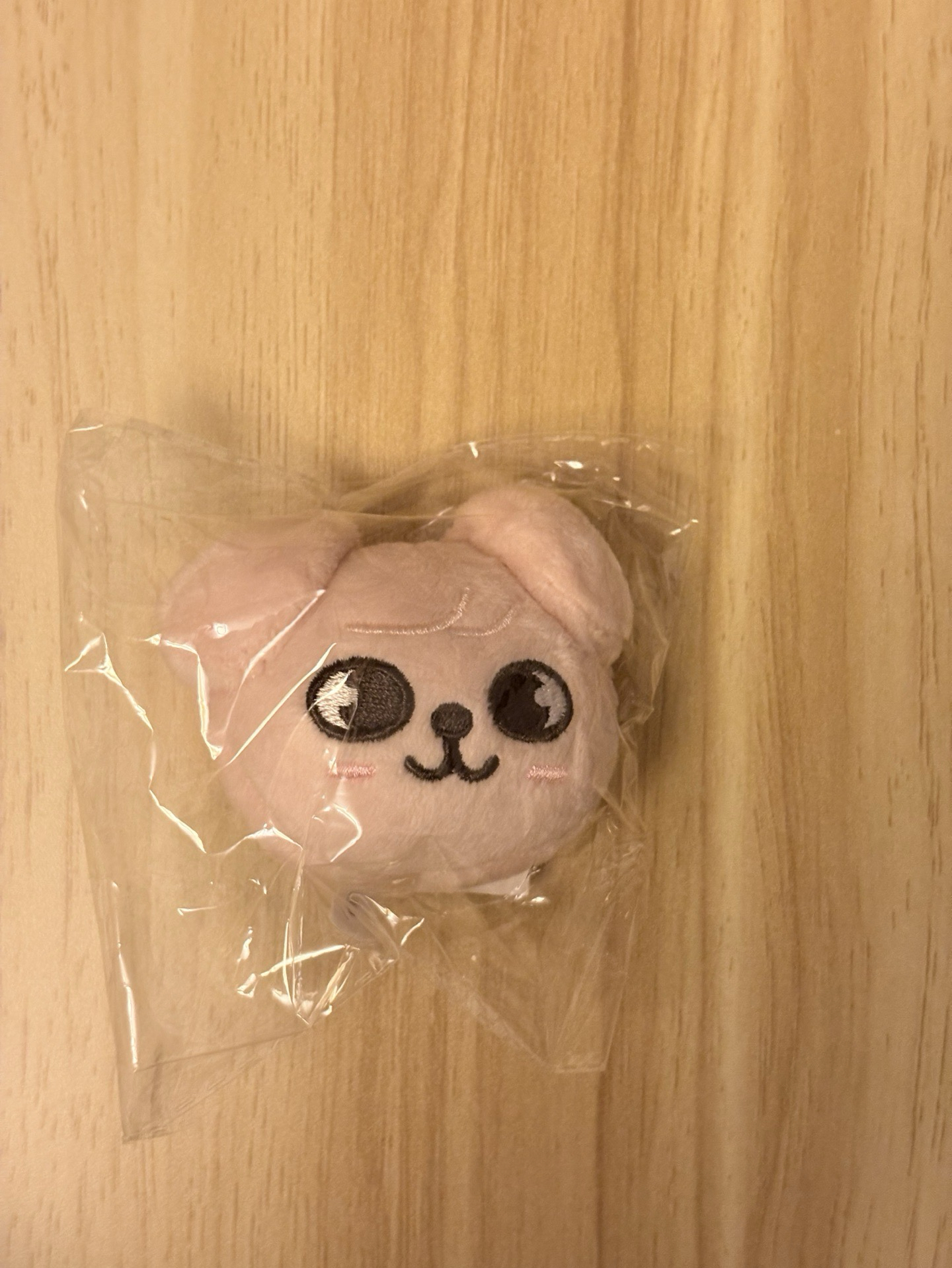 SKZOO PuppyM大頭磁鐵