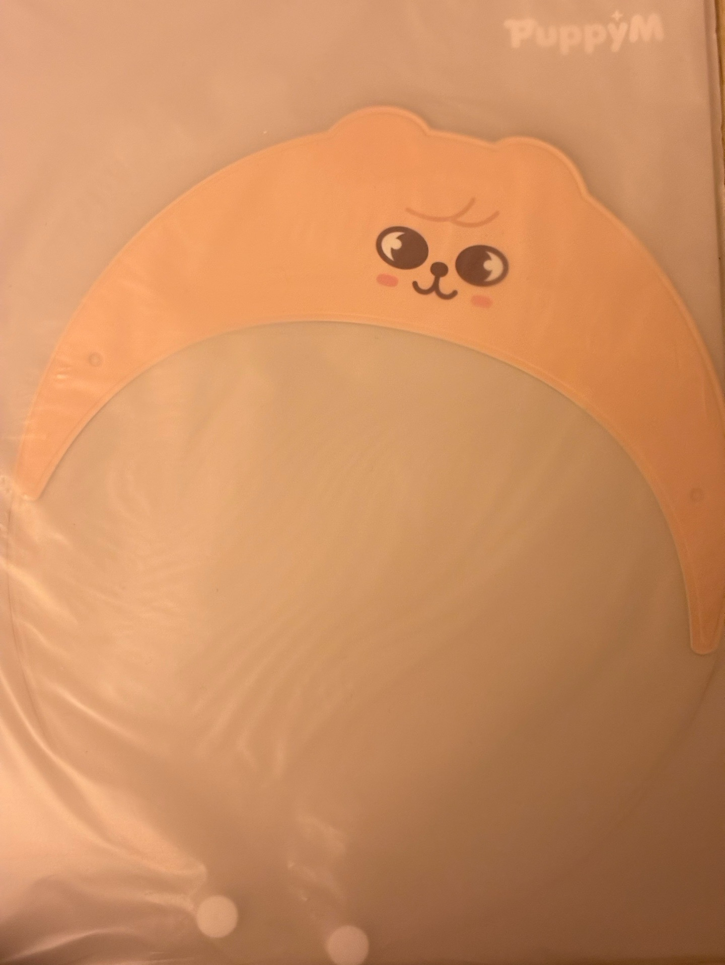 金昇玟扇子+扇套