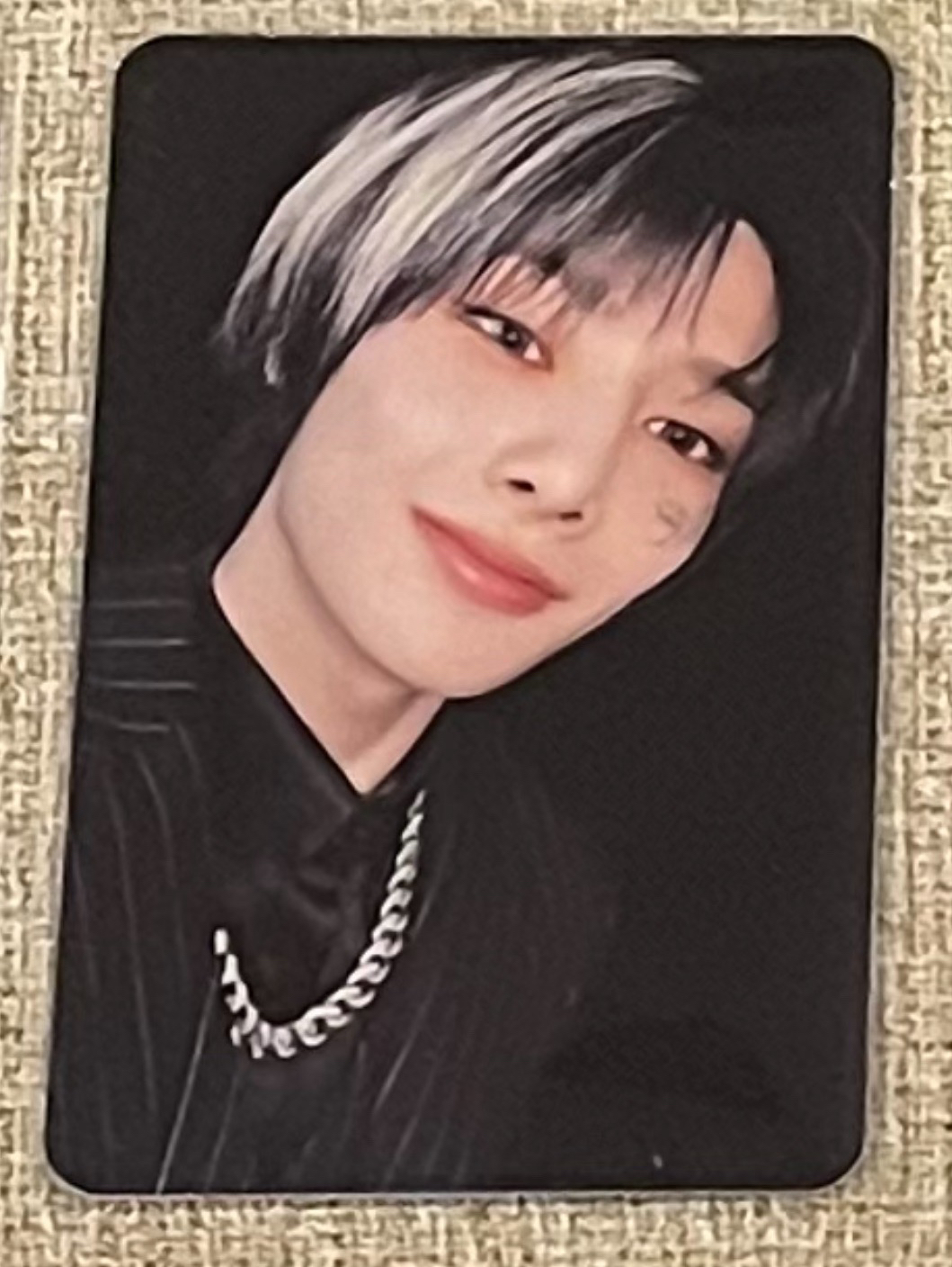 黑白挑染小狐狸