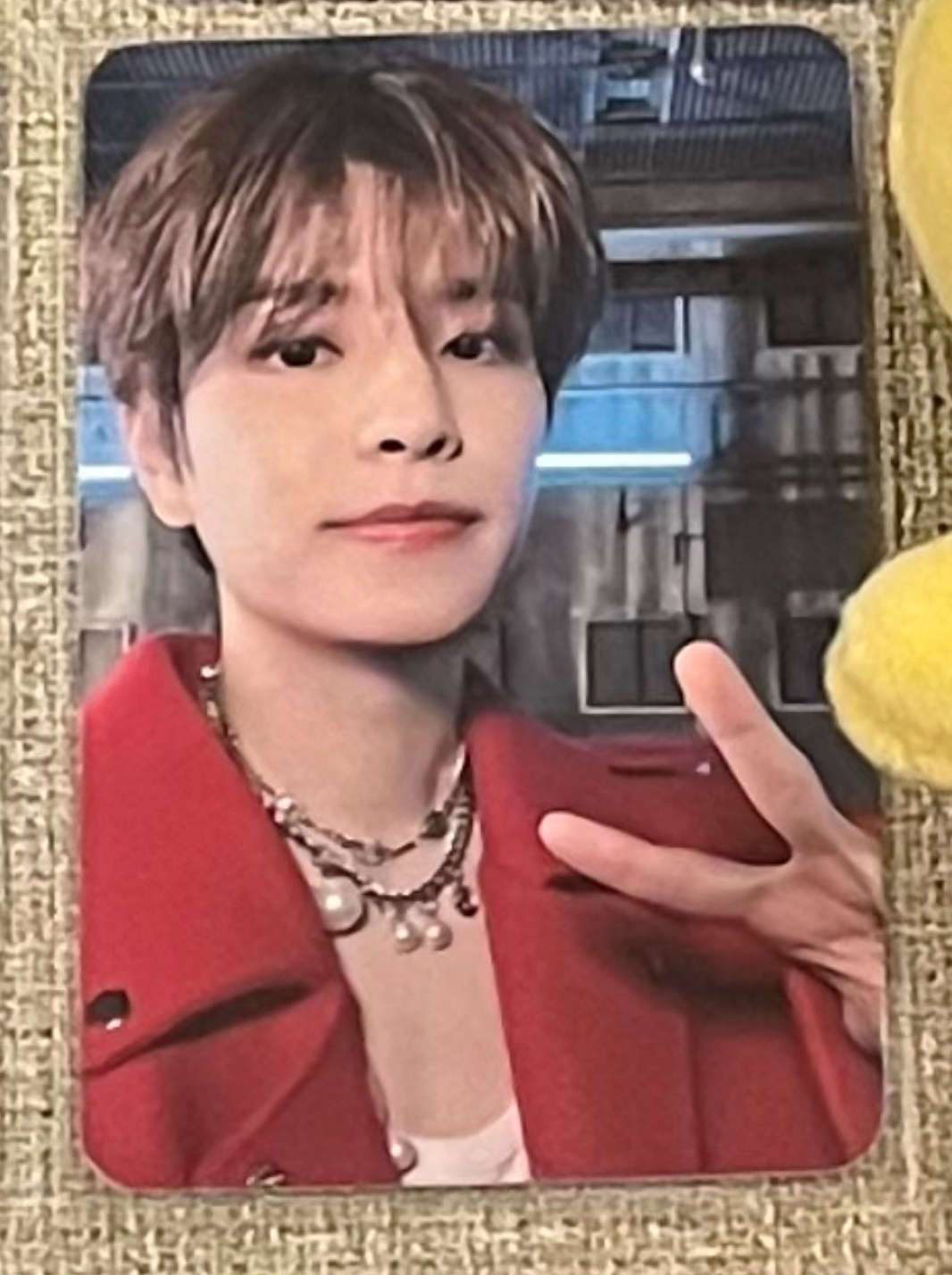 可愛比耶小狗✌️