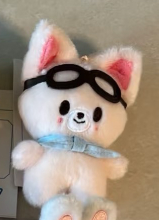 飛行寅 圓滾滾娃寅 五期飯咪辰