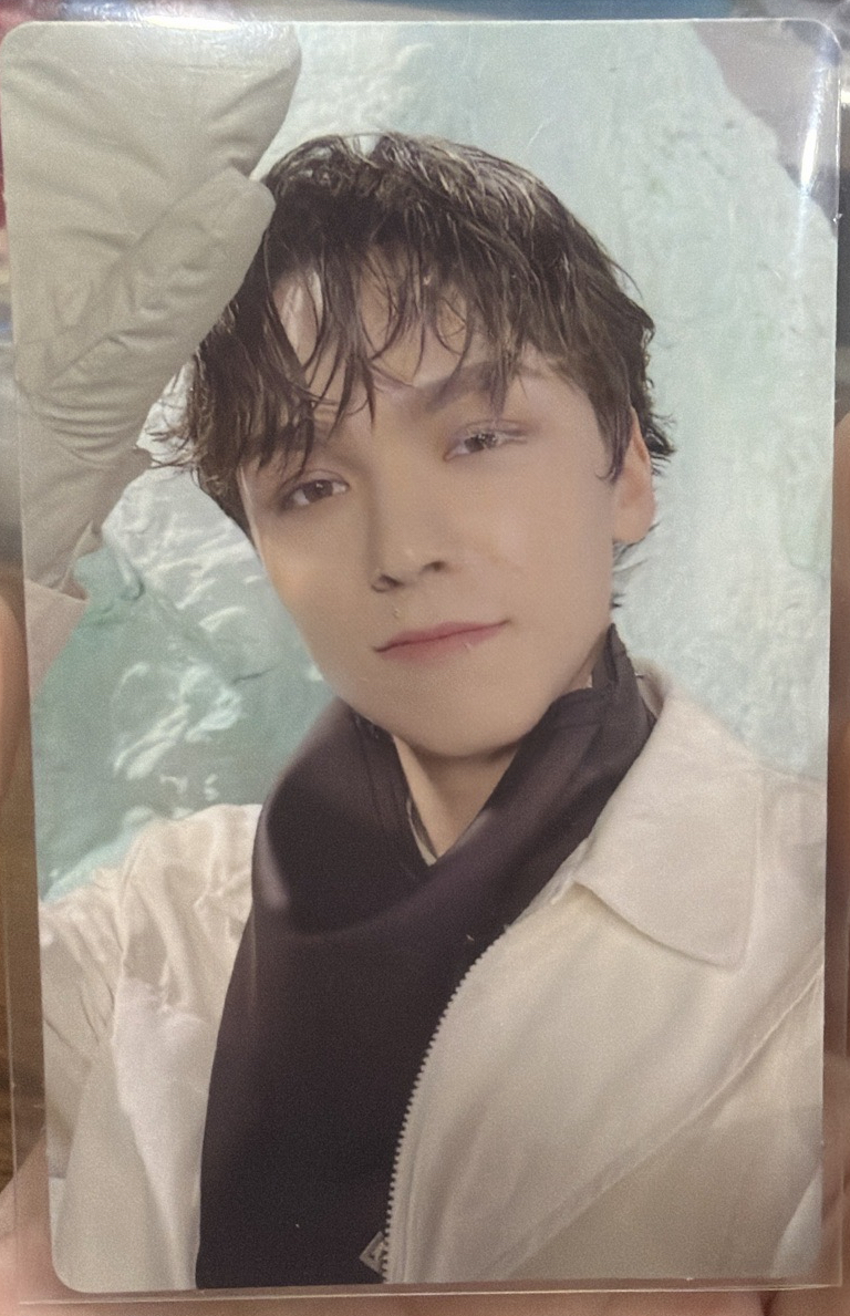 正四後續 專輯卡 正規四後續｜WVS電子專ver.