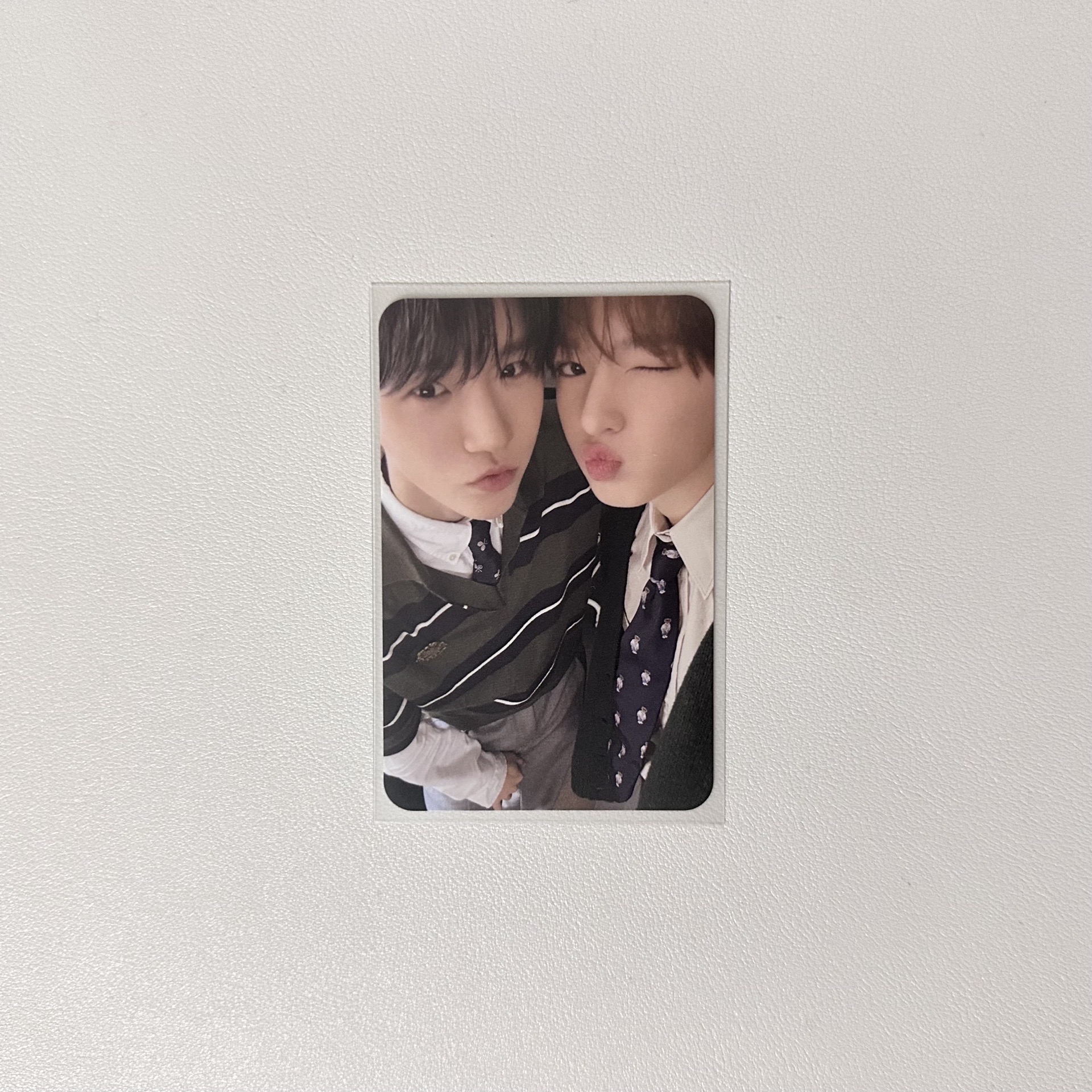 WISHLIST mumo 麵包樹雙人卡 特典 ⚪️