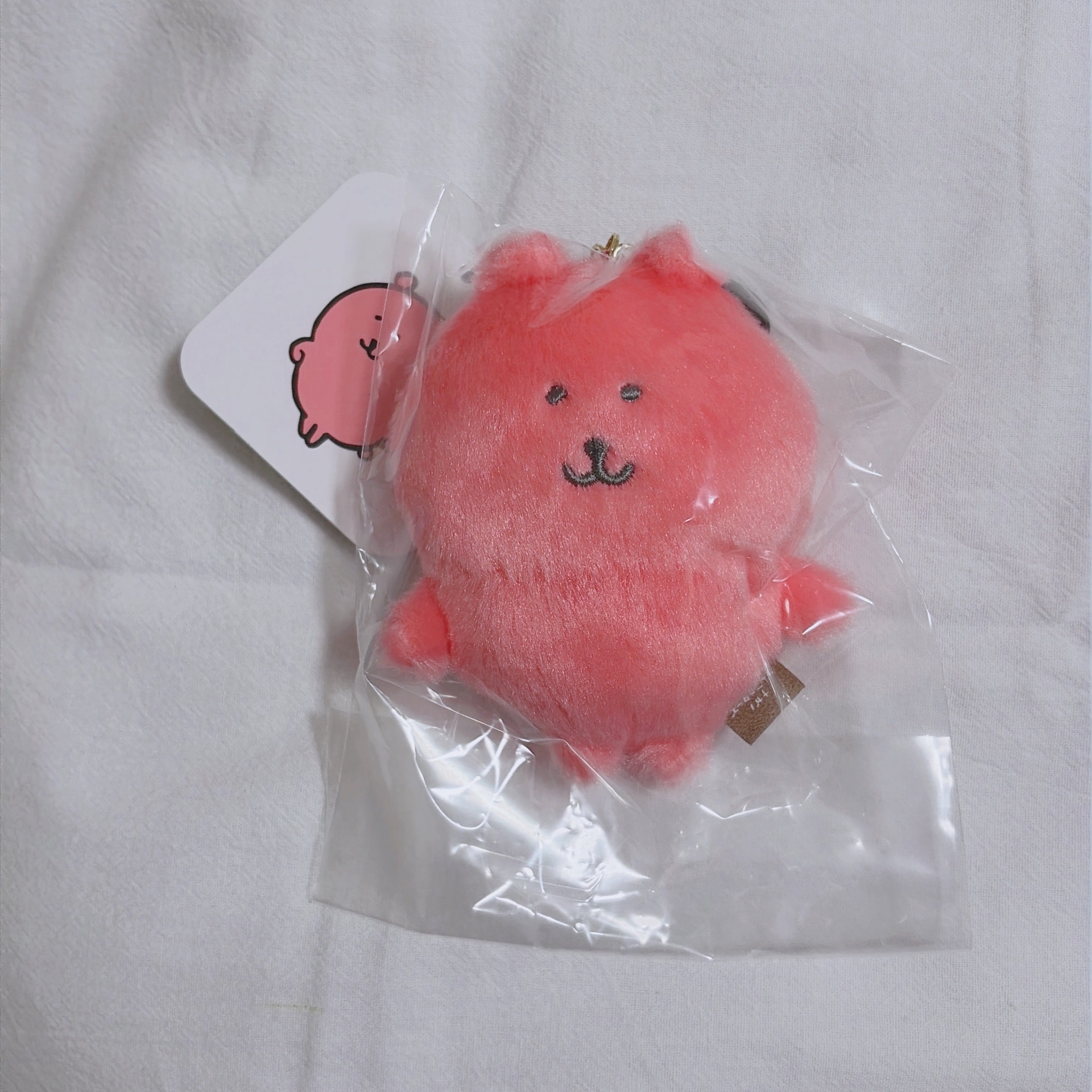 自嘲熊 彩色熊/彩虹熊