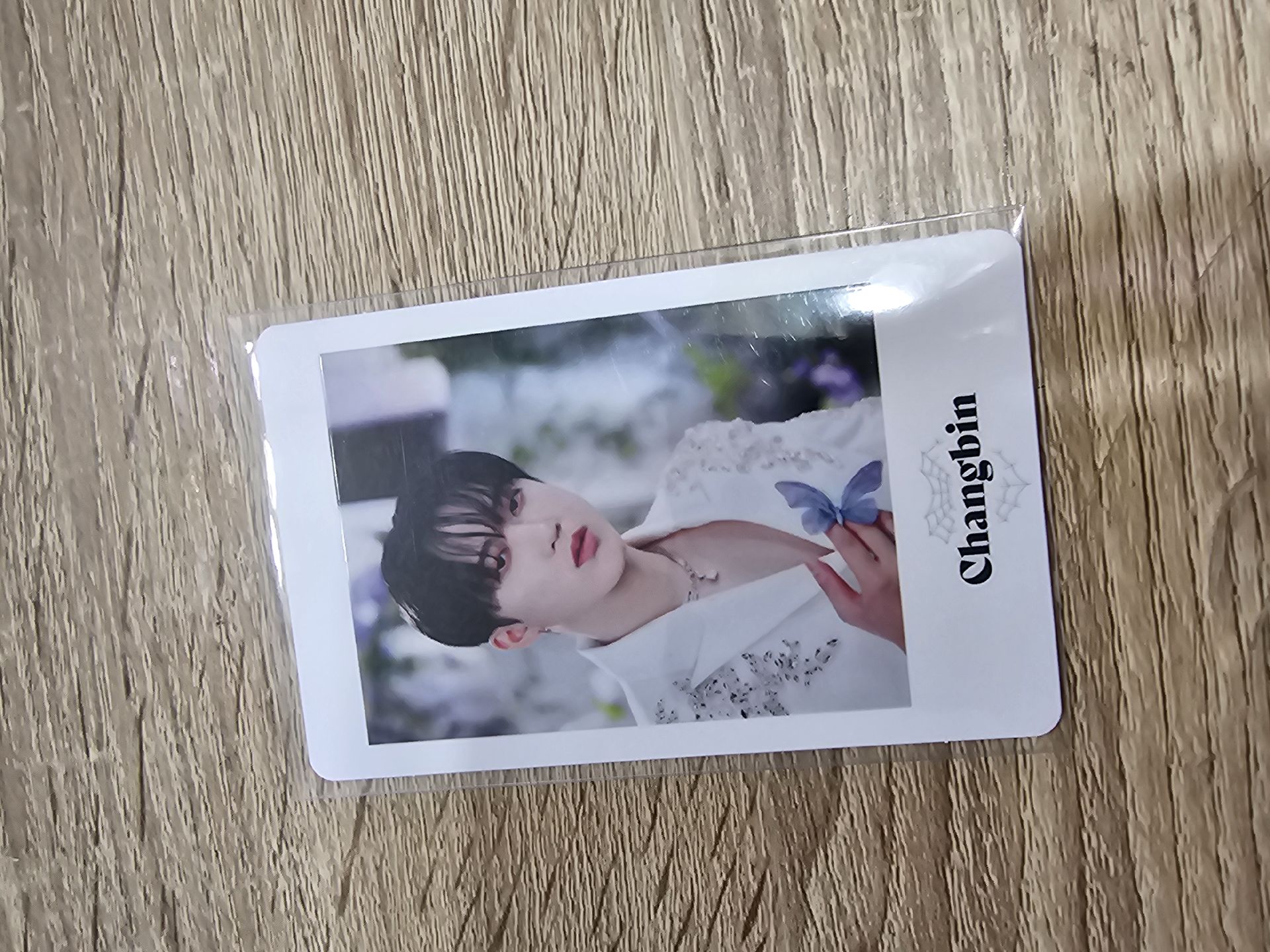 🐖🐇彬 2nd 世巡 周邊卡 日本安可場周 小卡組