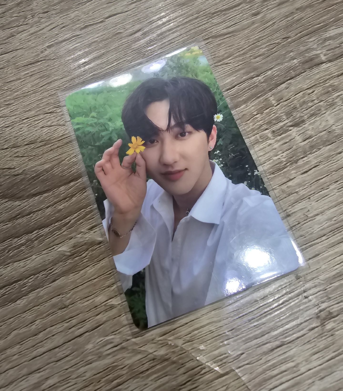 🐖🐇NOEASY 專輯卡 Limited ver.