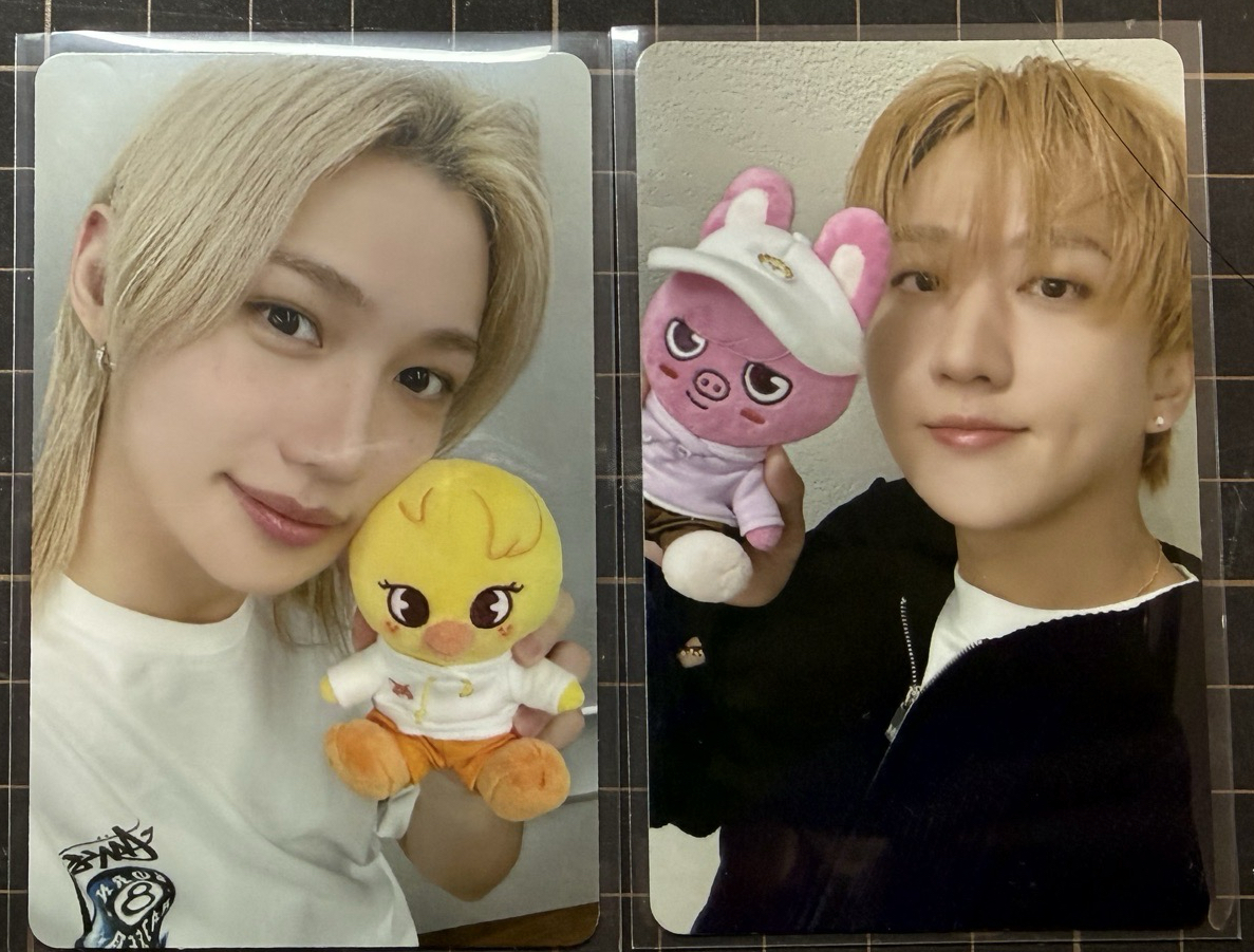 動物方程式滿額