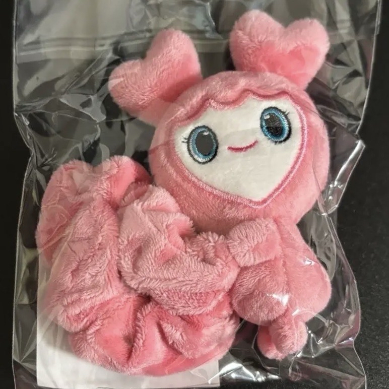 TWICE 六巡場週 桃髮圈