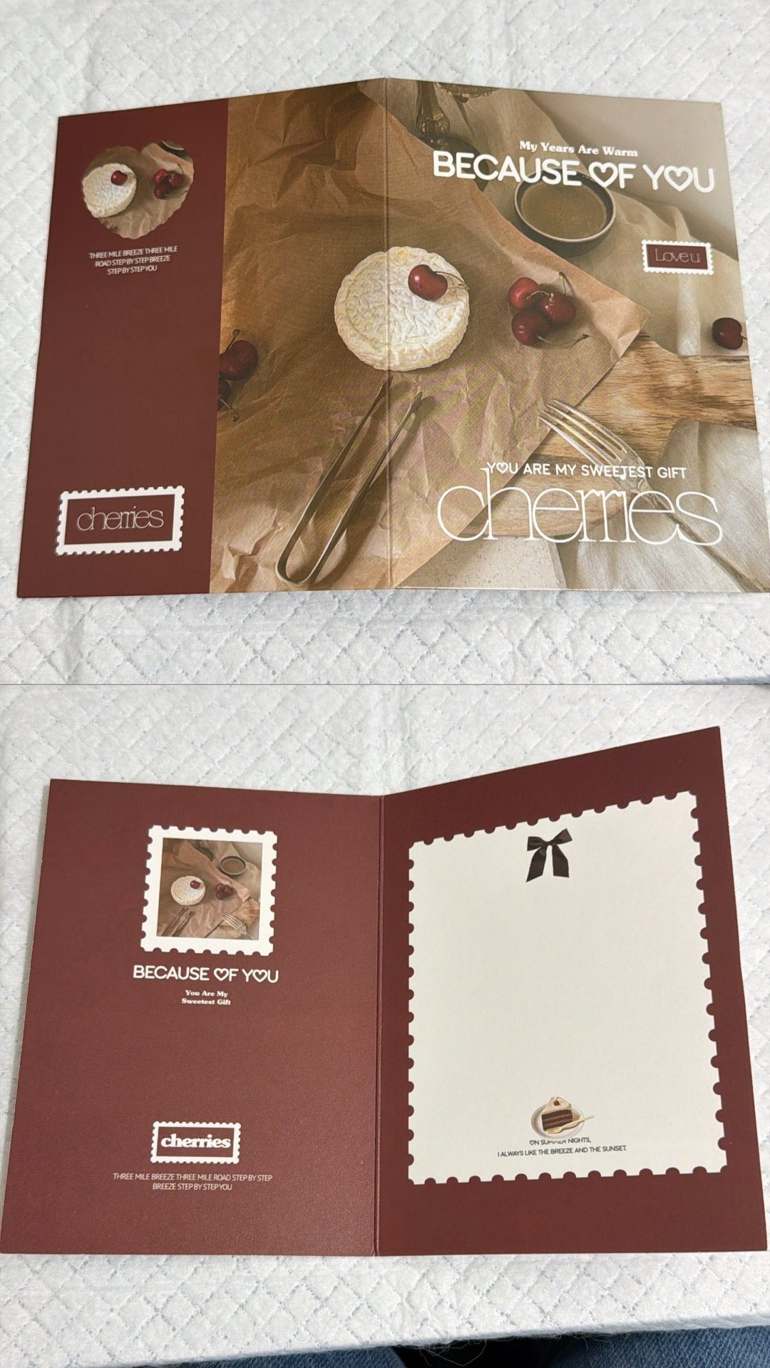 櫻桃蛋糕巧克力大摺頁