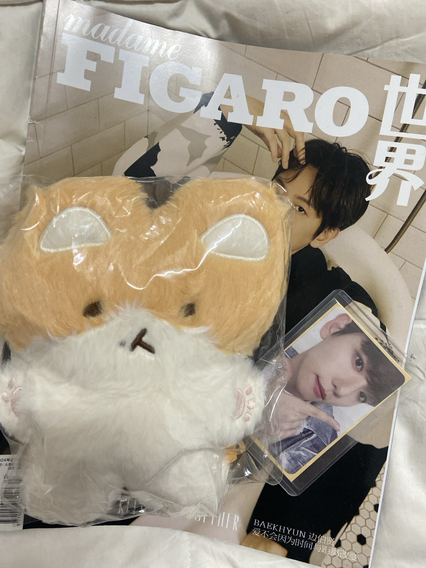 Baekhyun 特萊奇磁鐵娃+雜誌+周邊卡