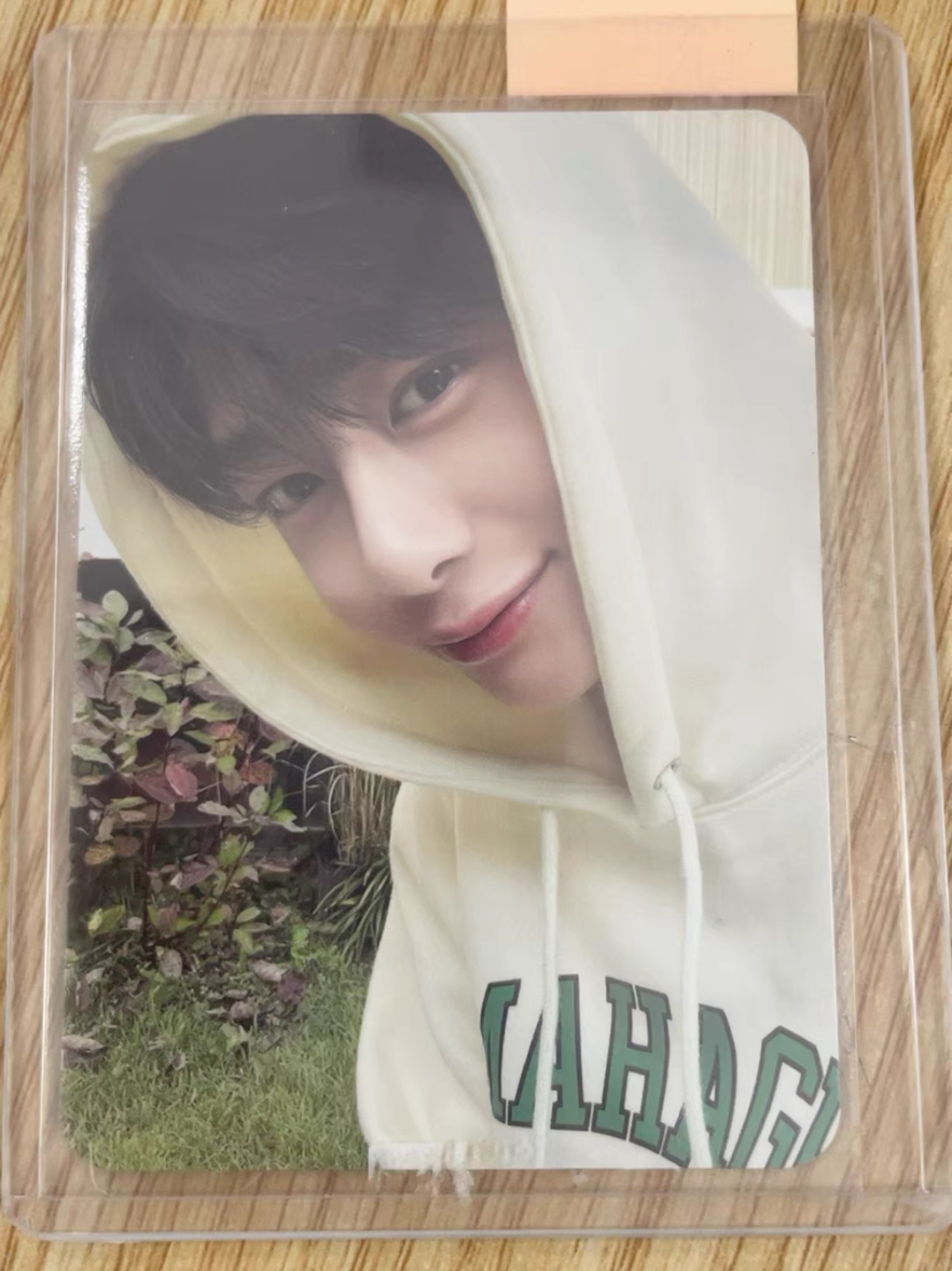 wellage 代言卡 亨願