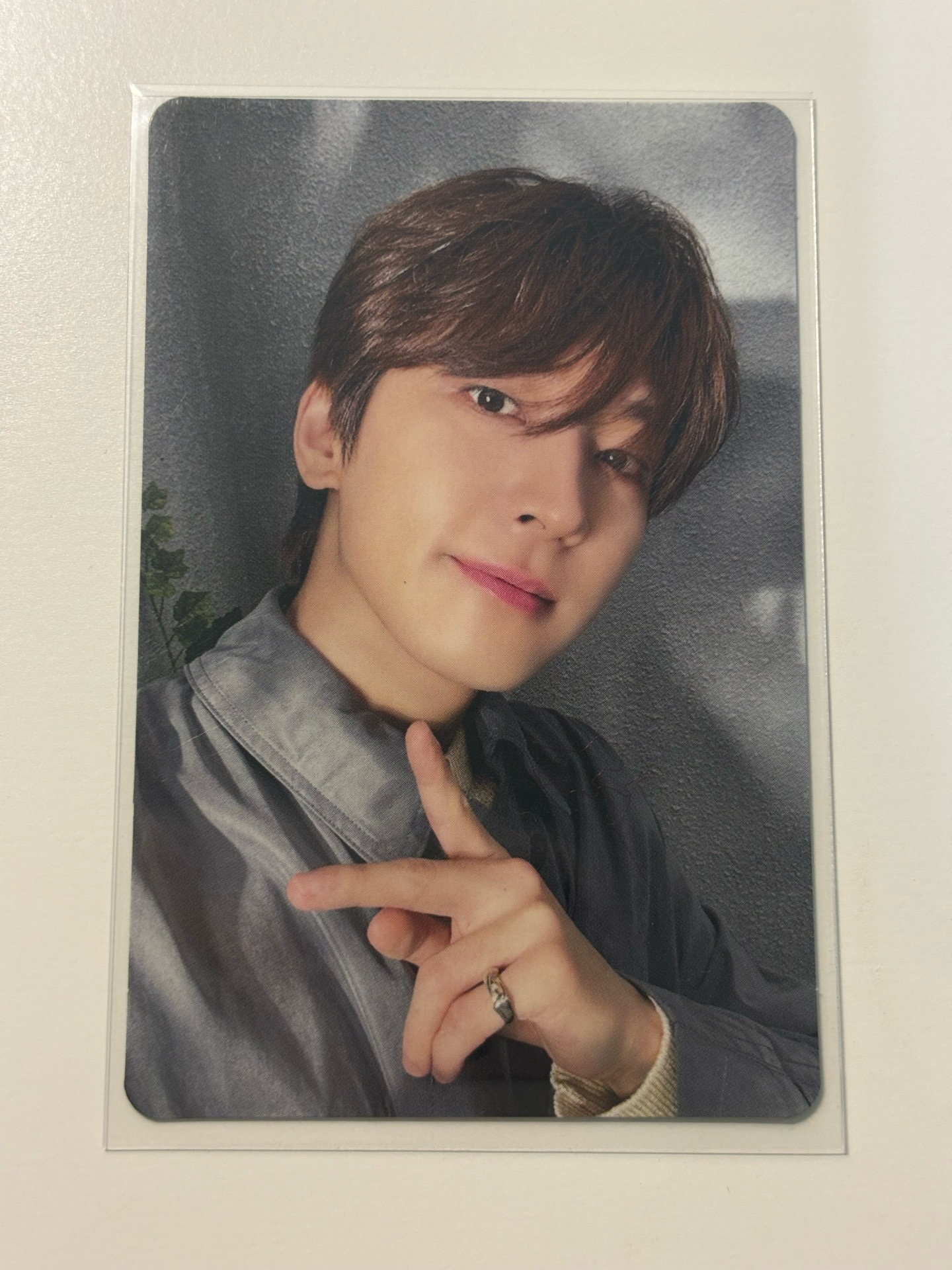 消費期限  圓日專卡 