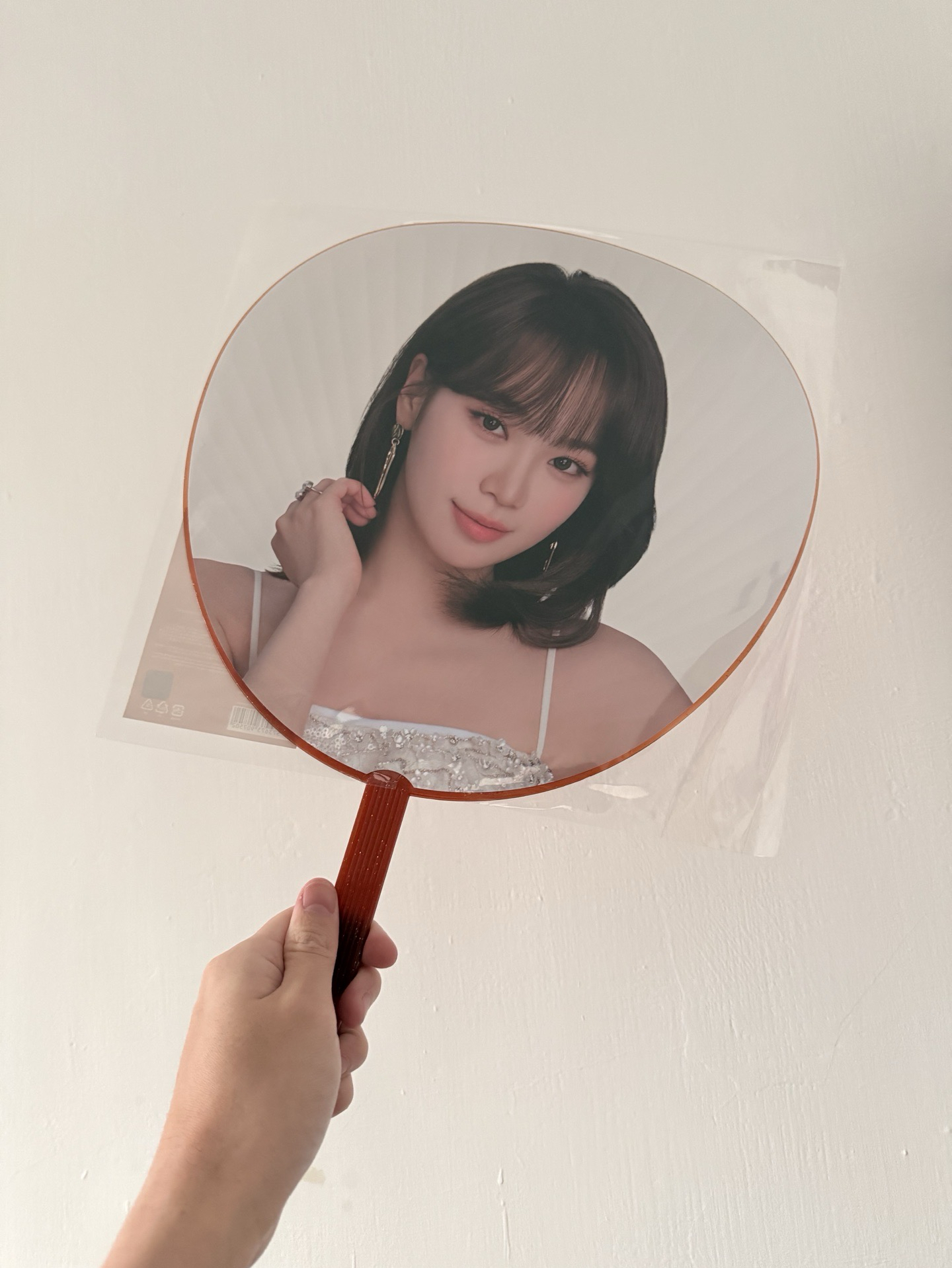 現貨 東蛋安可采大王扇