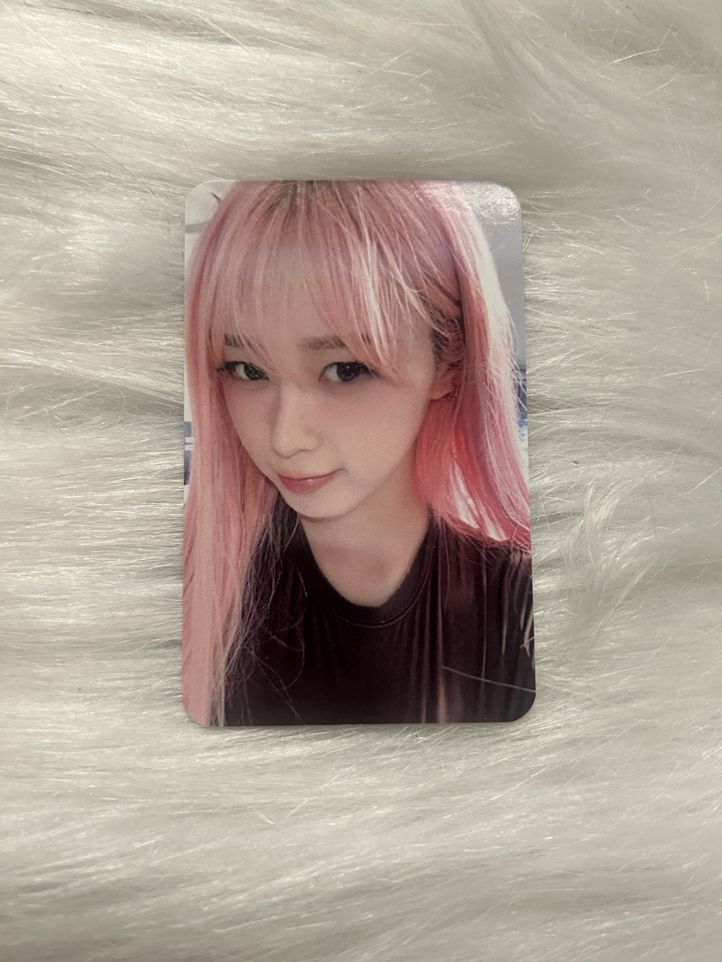 Whiplash ia 簽售卡 吉