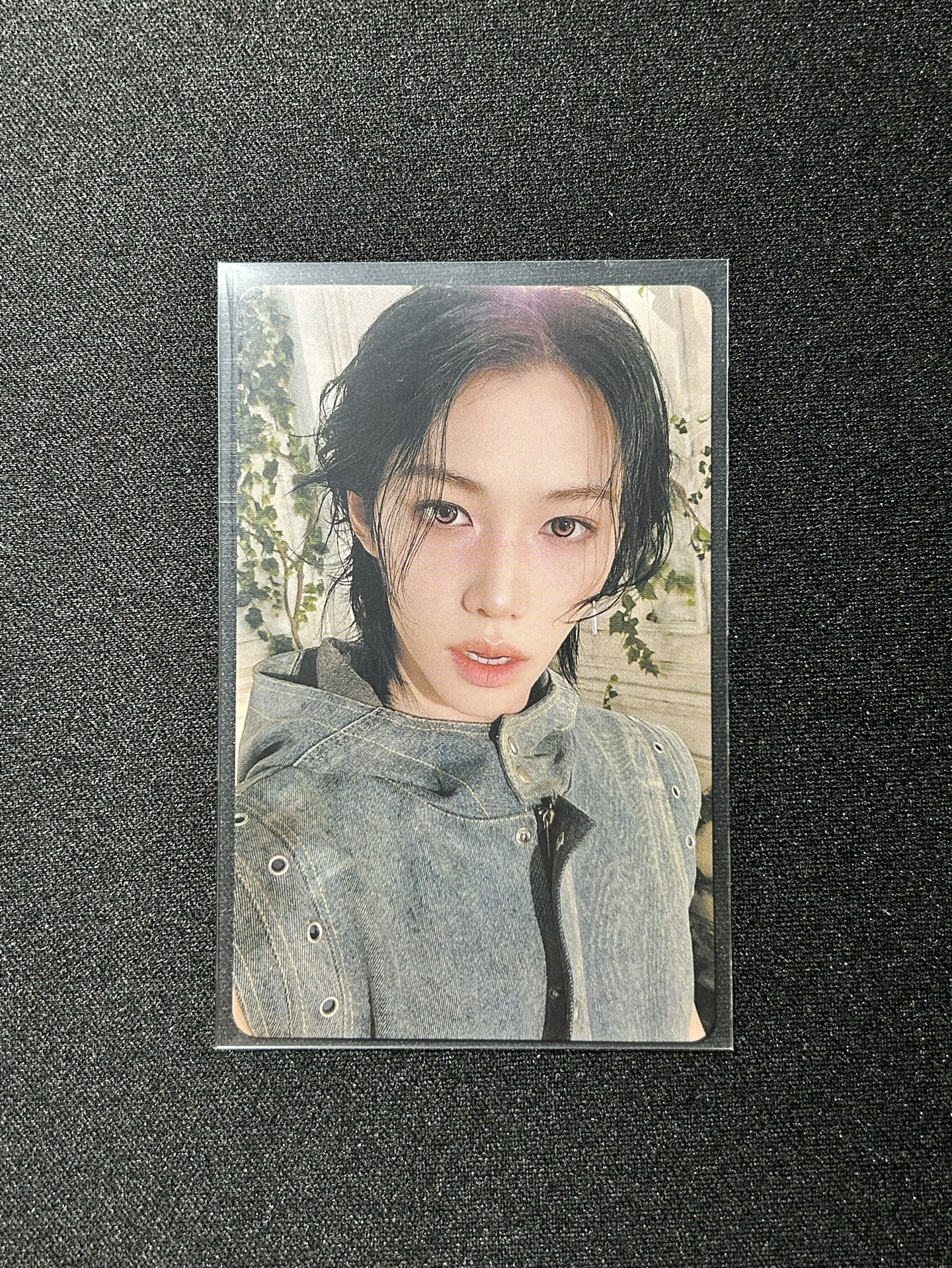 Hollow 05/18 靜岡場限菲